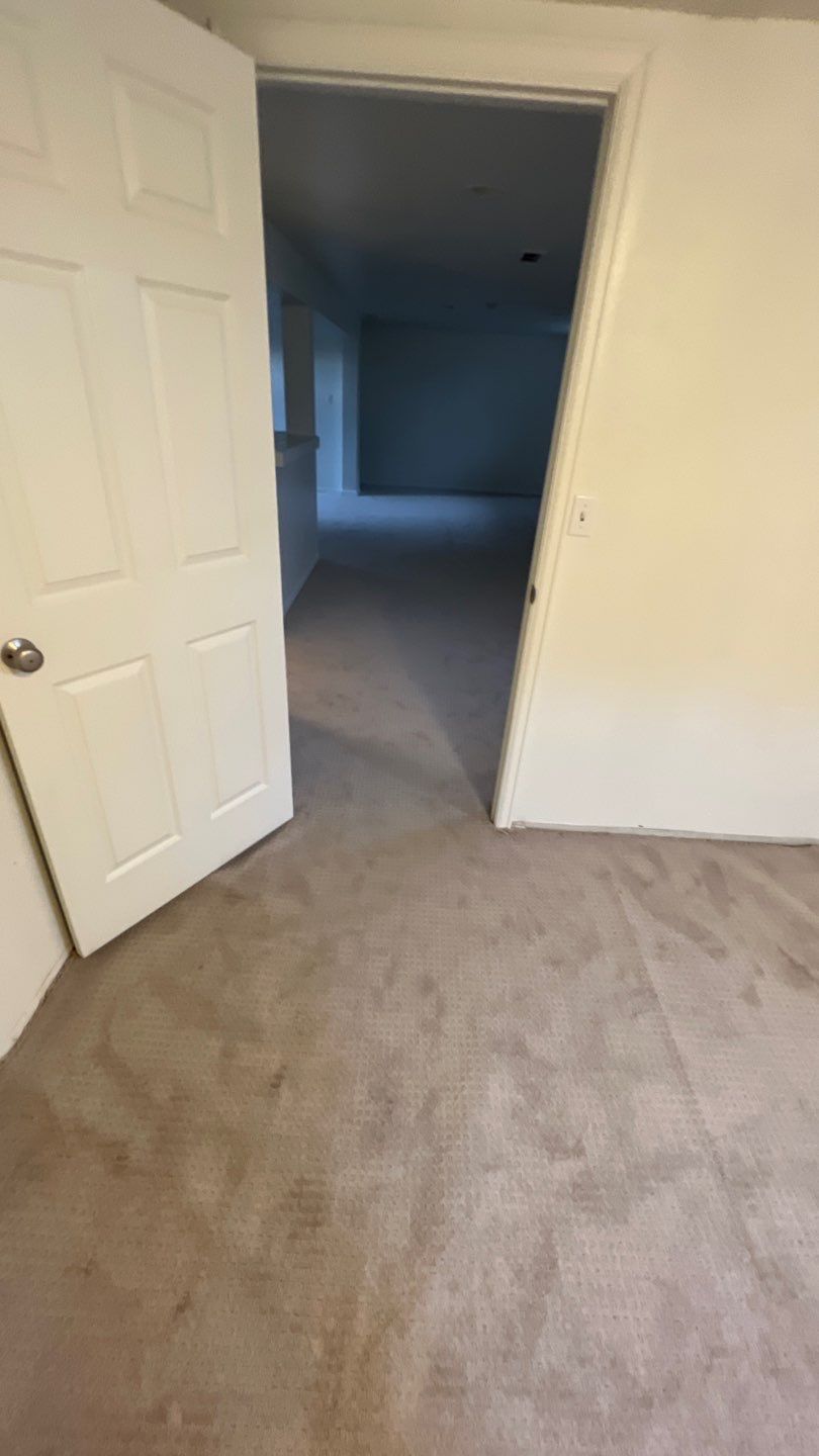 Mold Remediation by Accountable Home Services