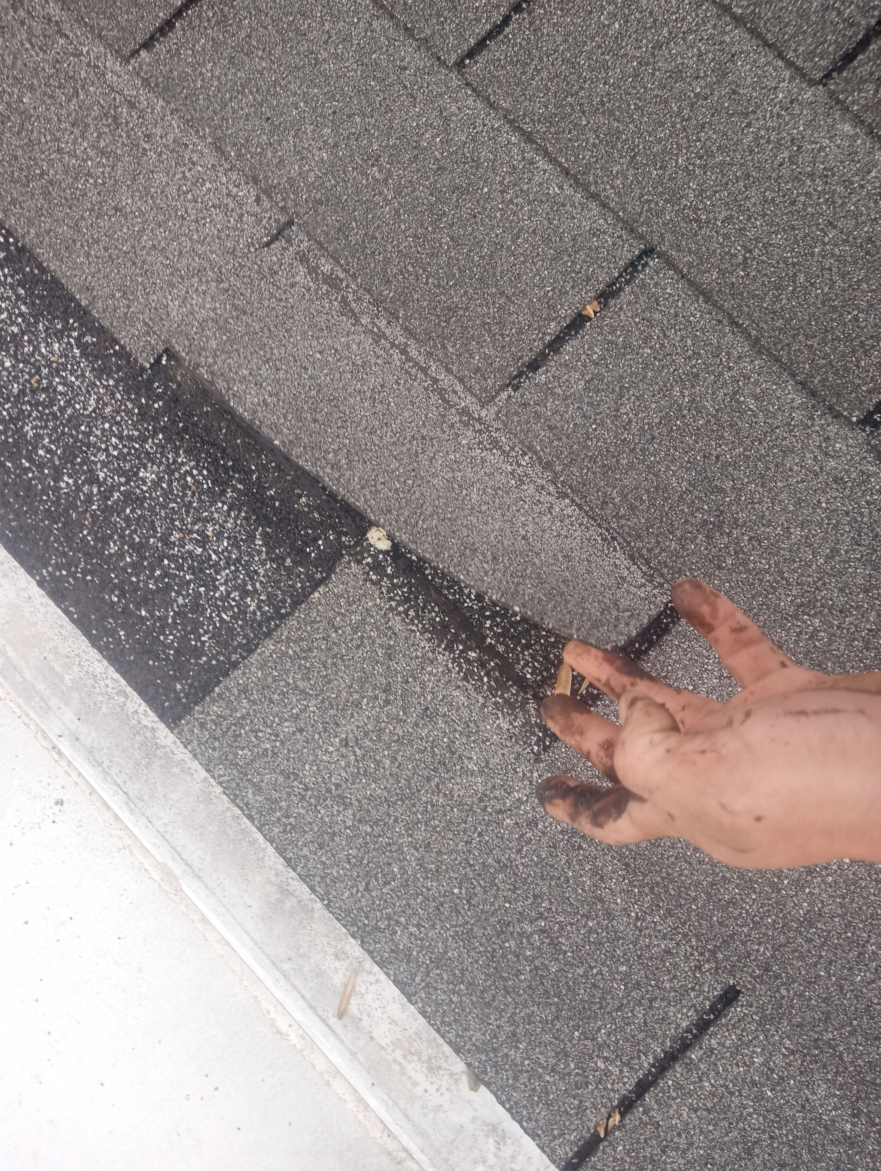 Kevin Orourke by Silver Leaf Contracting 