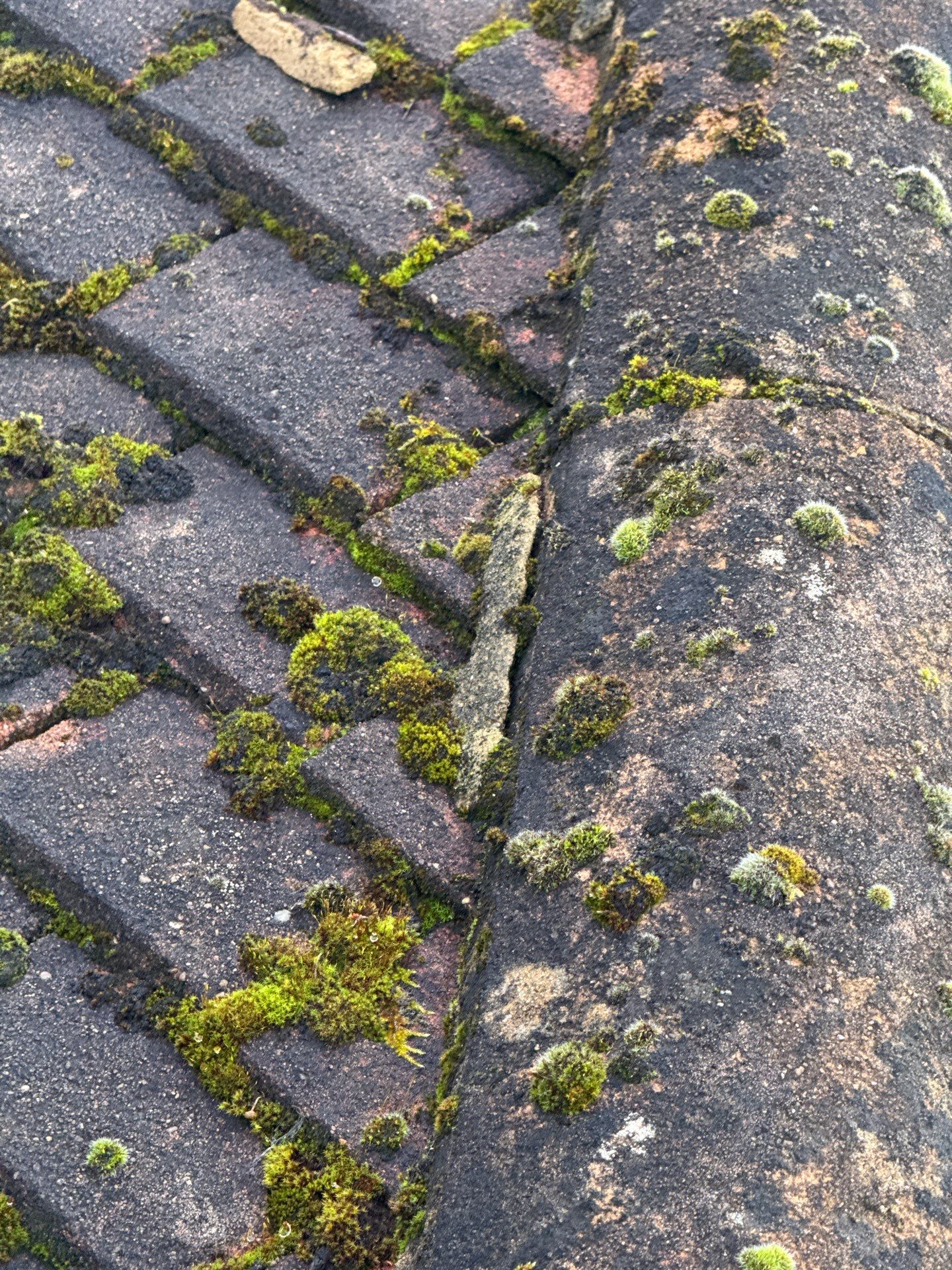 Roof And Driveway Clean by Ges Exterior Cleaning ltd