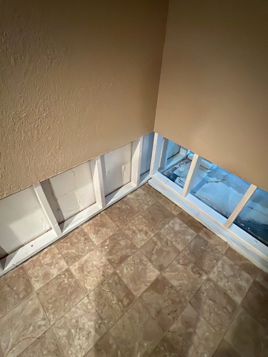 Mold Damage by Accountable Home Services