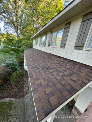 Our Projects Through the Lens