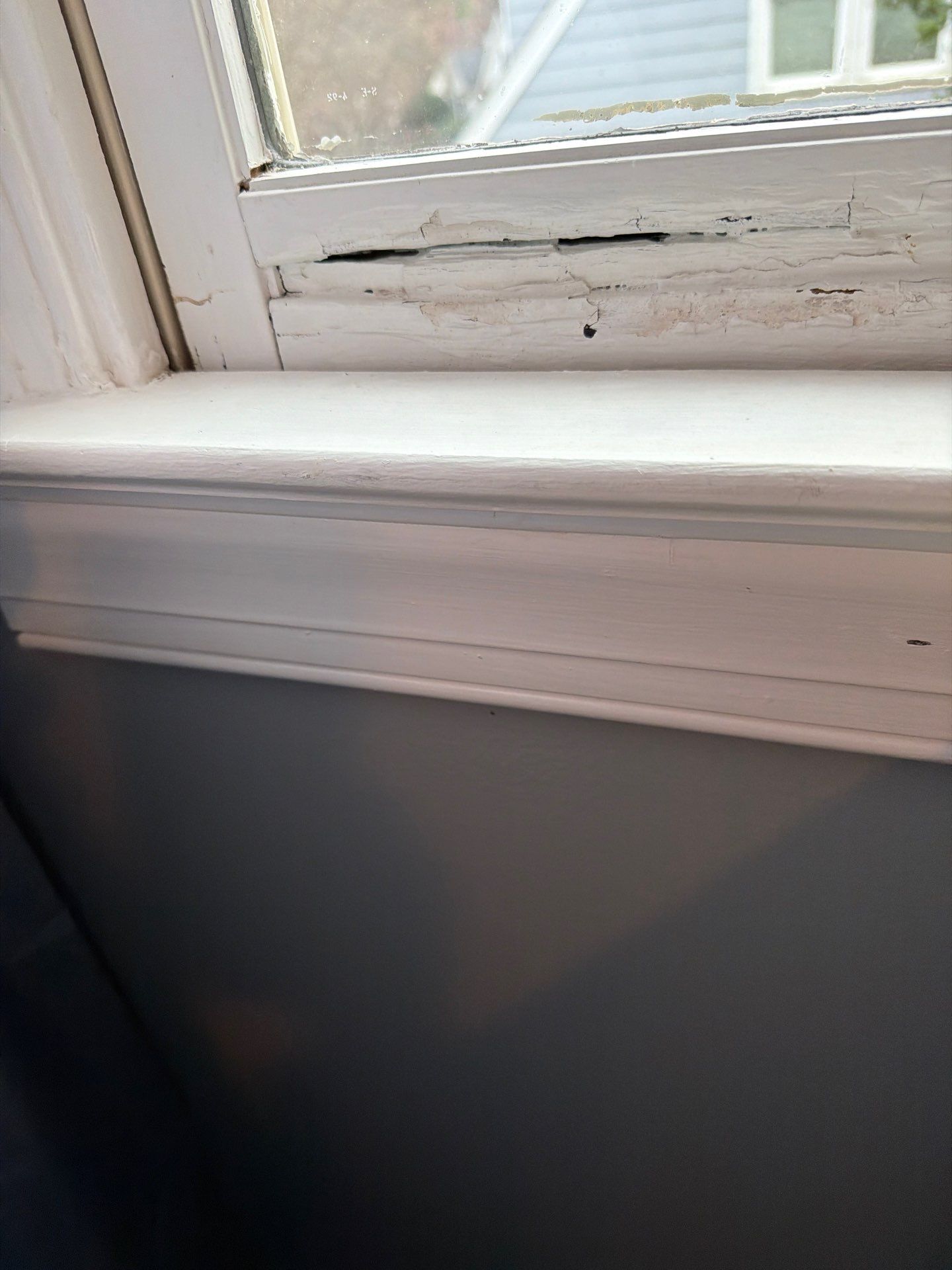 Project in Cary by Window Works