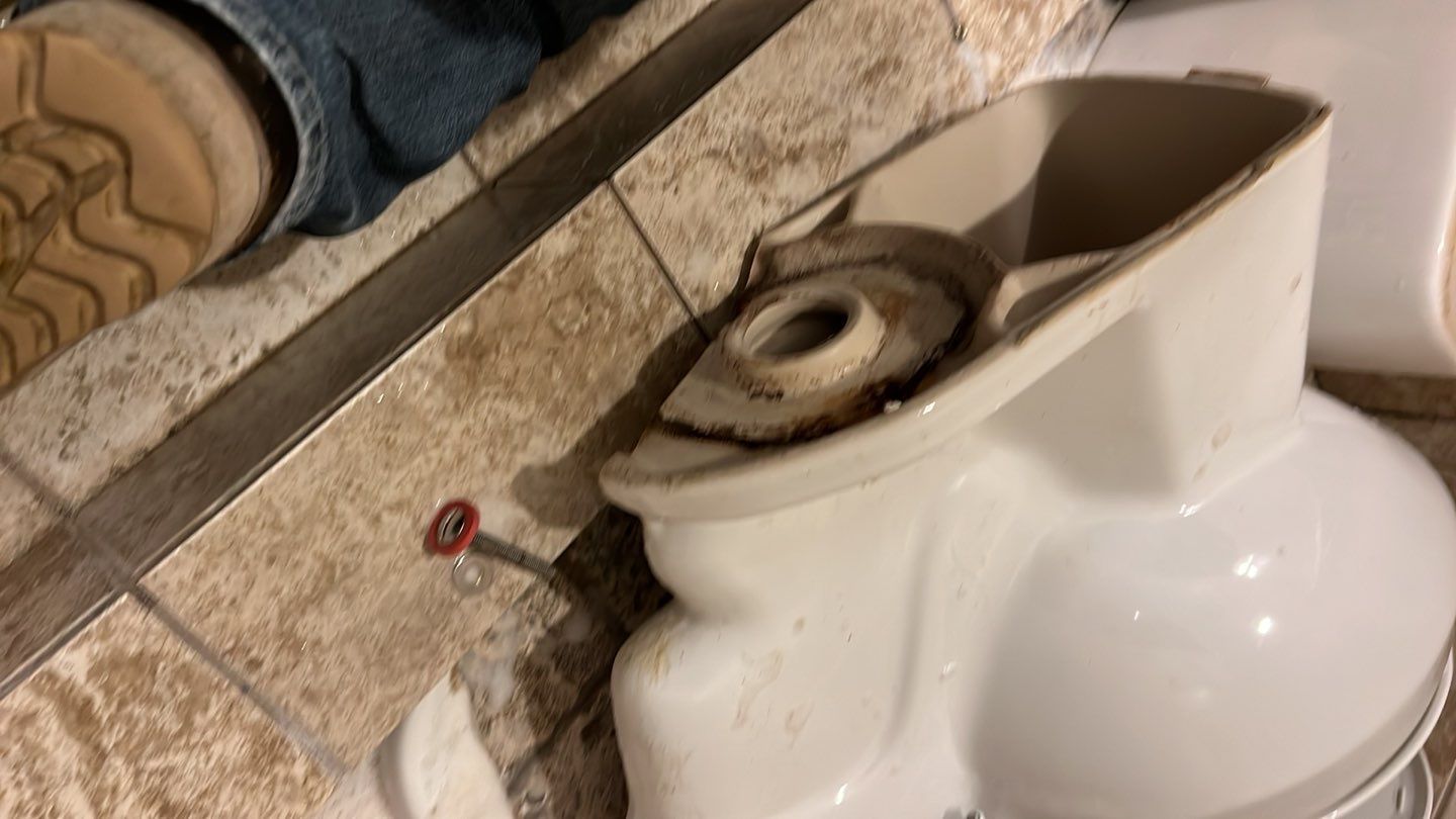 Toilet install and angel valves  by Plumbing Connect Systems LLC