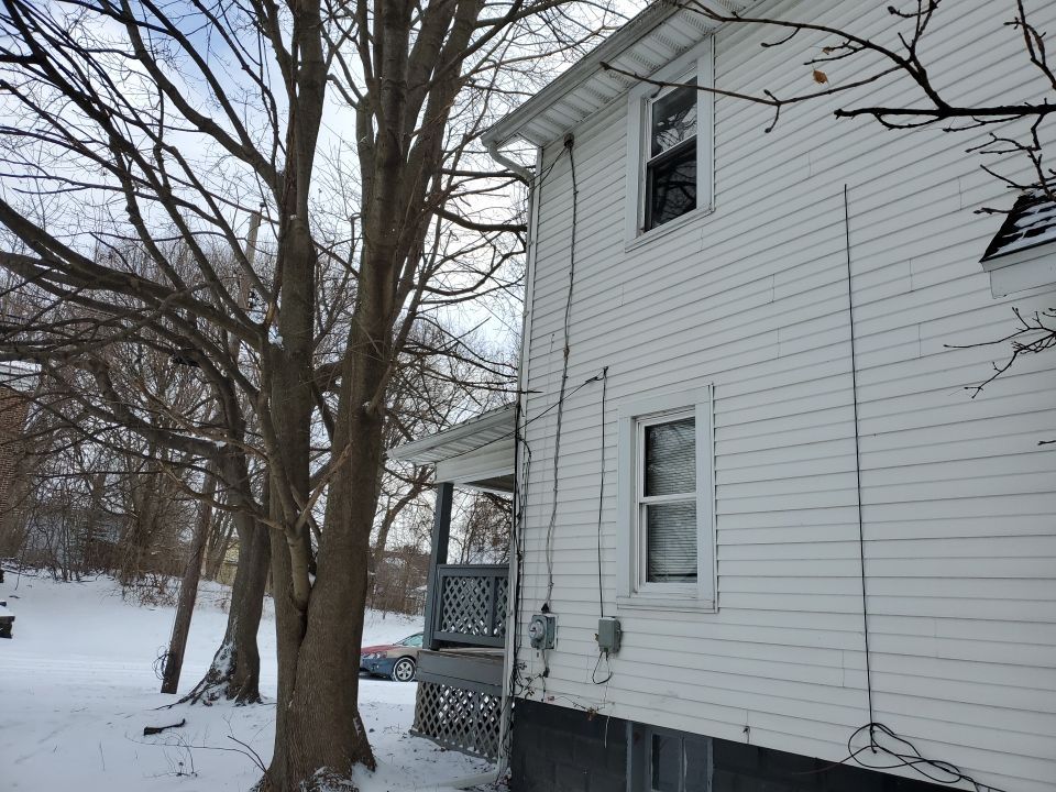 Tree Trimming using Tree Pruing by Mike Jones & Sons Tree Service LLC 