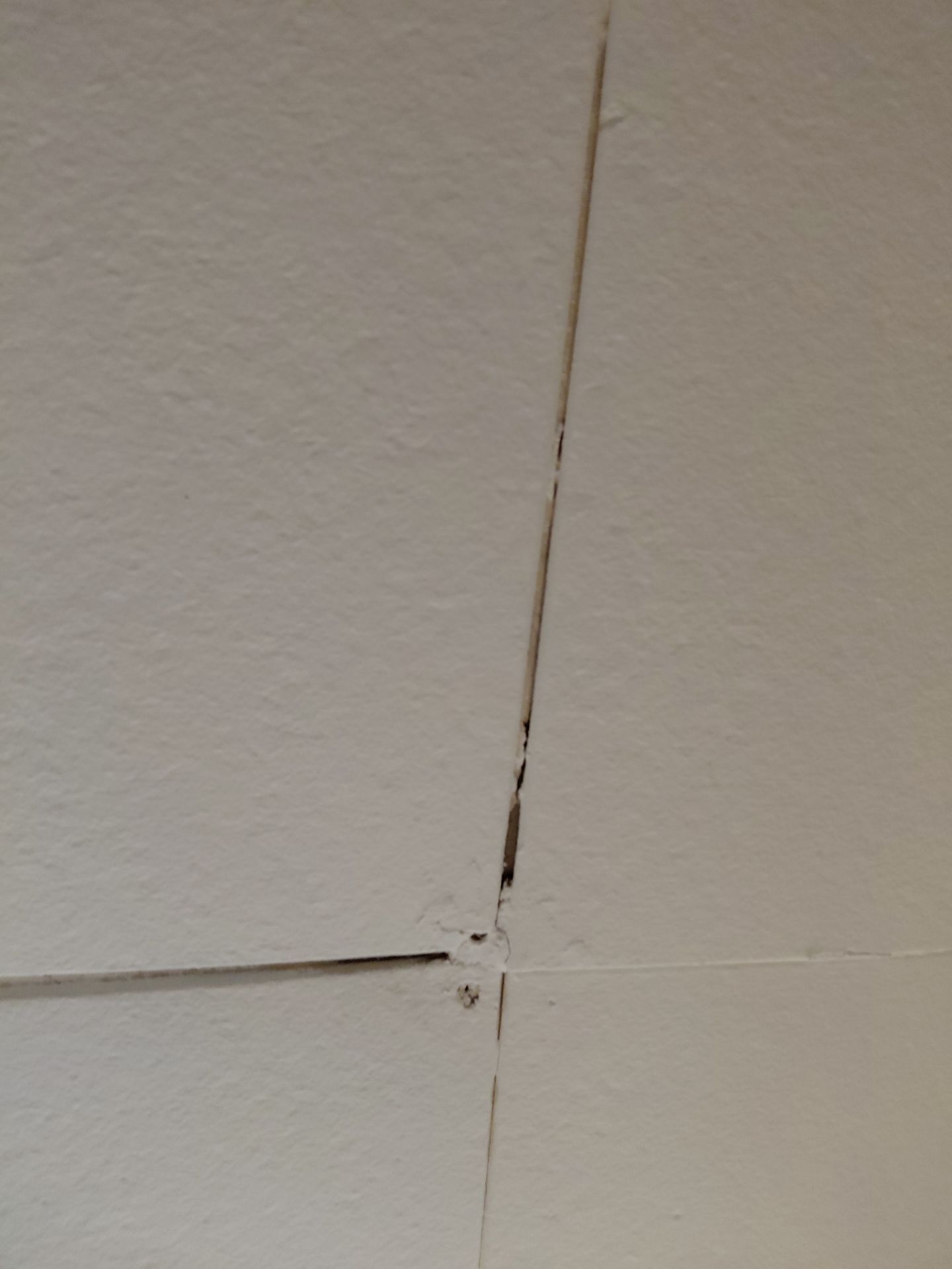 Arlington: Residential Roof Replacement with CertainTeed Landmark PRO in Max Def Colonial Slate by RM Banning, Inc.