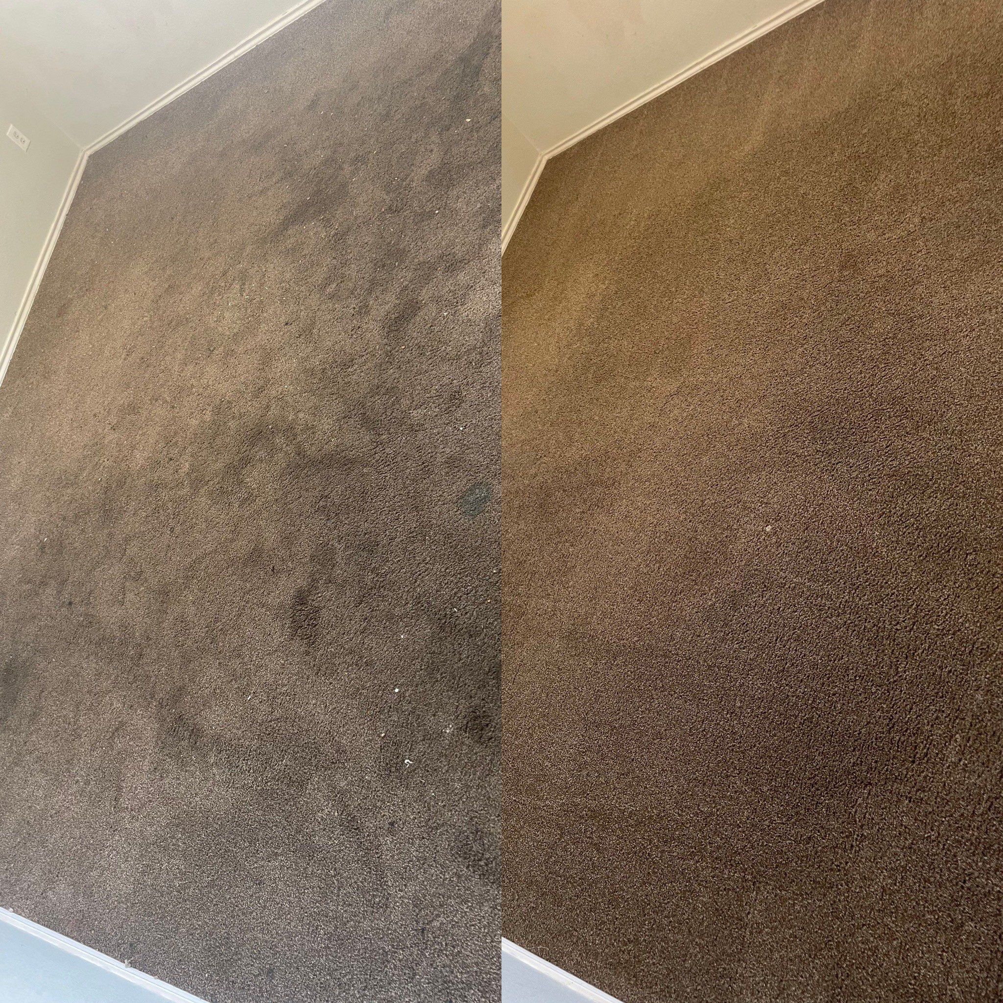 carpet cleaning service showing before and after of a stained carpet being thoroughly cleaned and refreshed