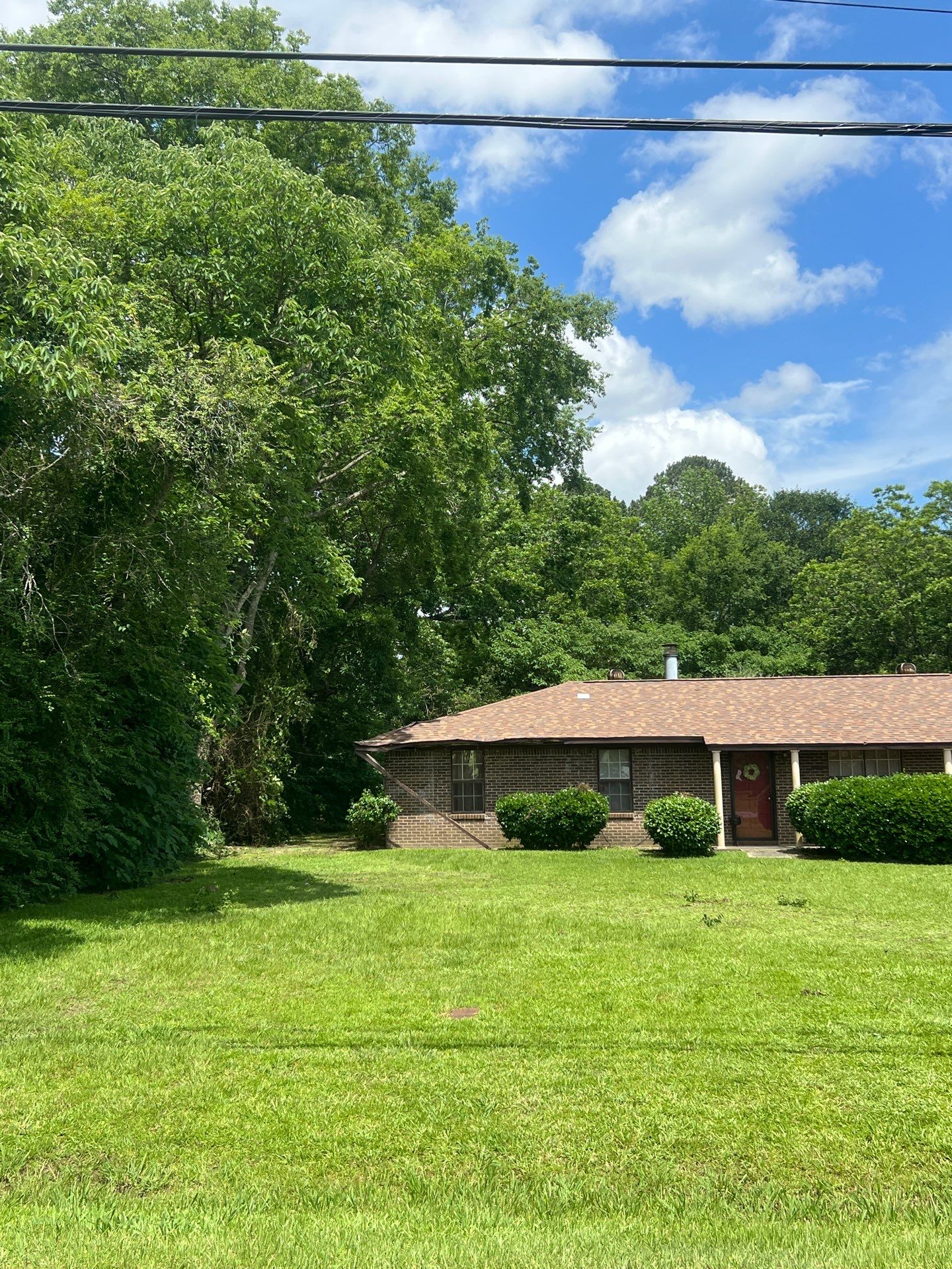 Crane-Assisted Emergency Removal by American Arbor