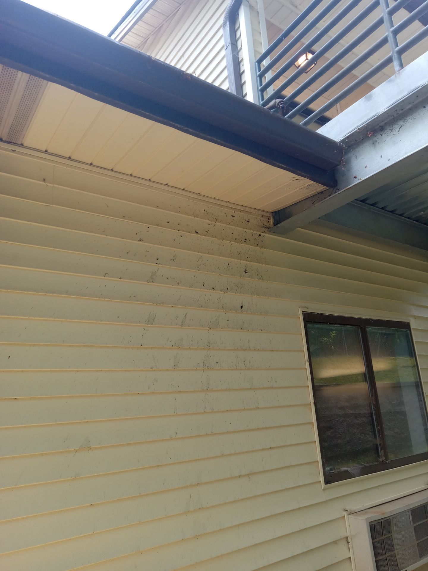 pressure washing exterior siding and under eaves removing dirt mold and stains