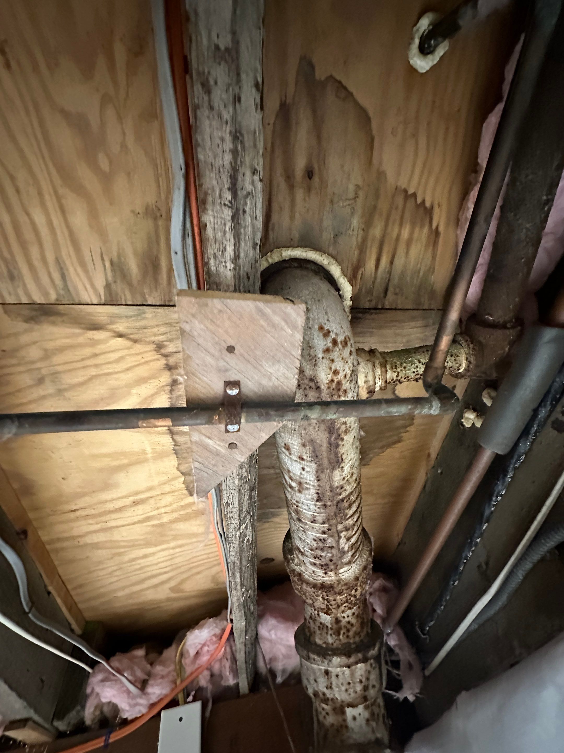 Bathroom Mold Remediation by Home Guarantee, LLC