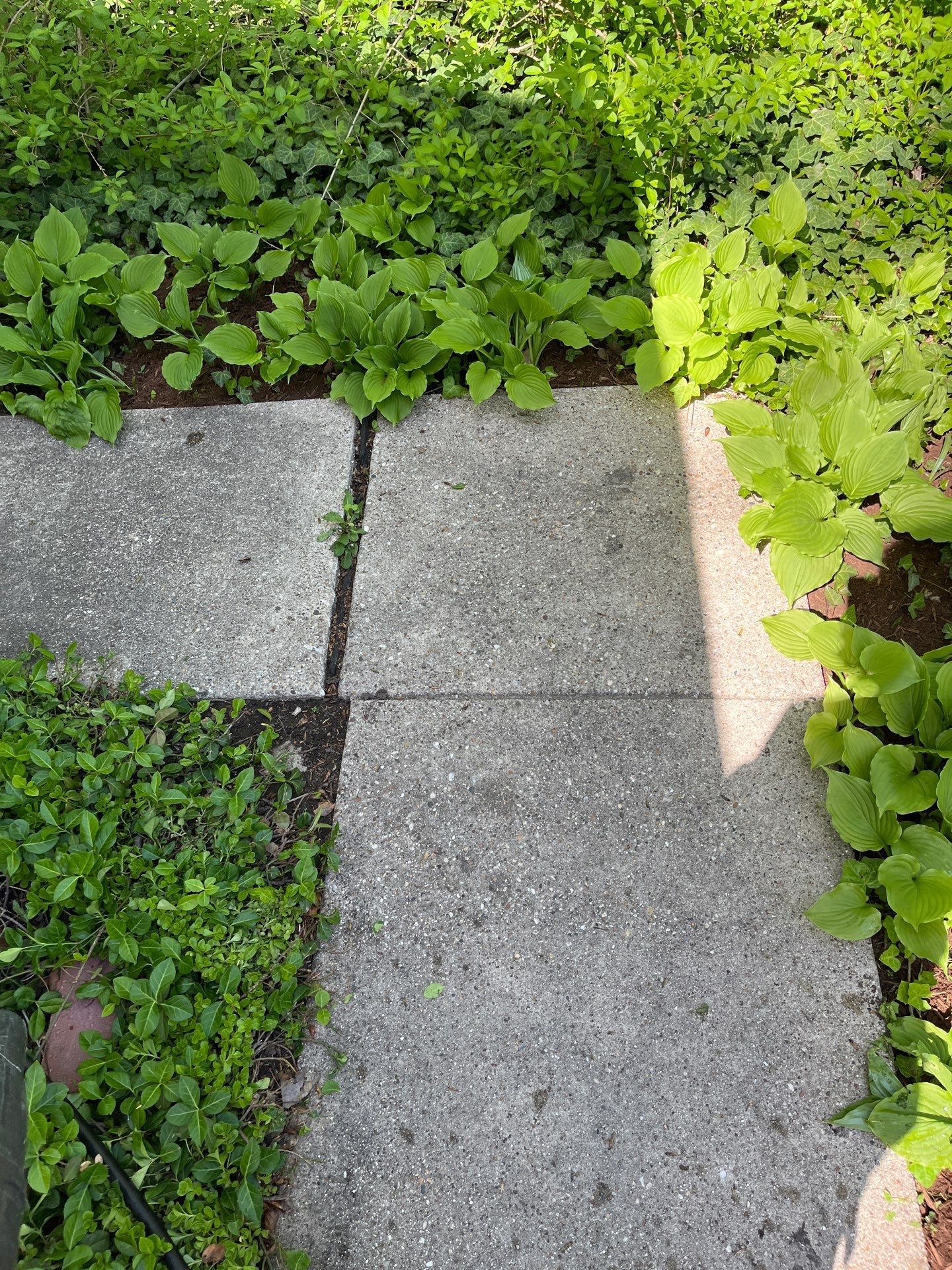 natural stone using Algaecide, soft wash soap by Northern Power Washing LLC.