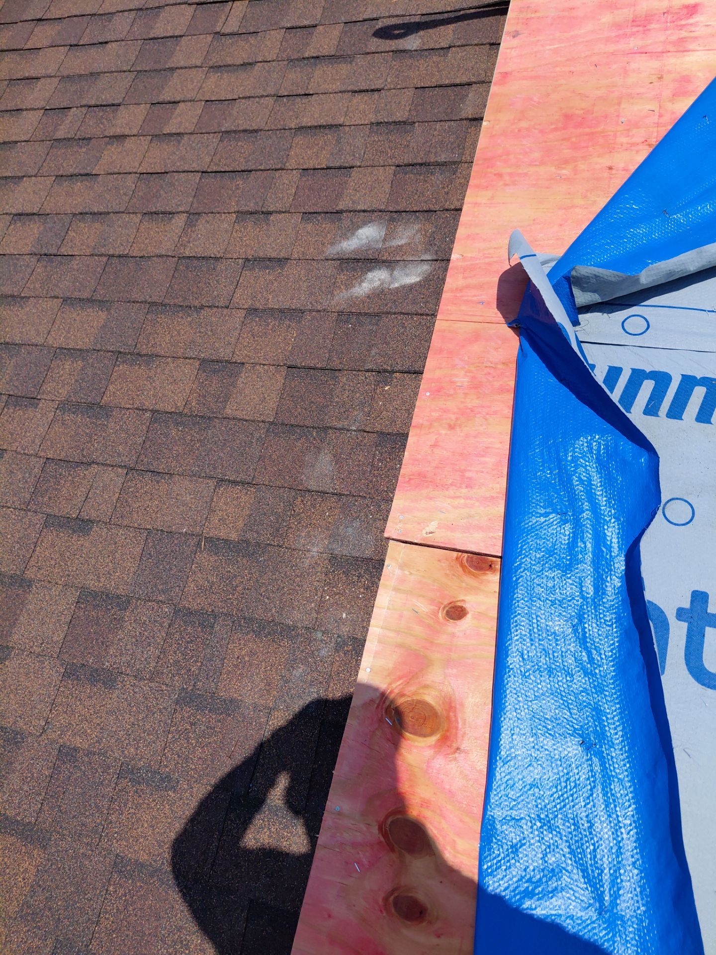 Alexandria: Residential Roof with CertainTeed Landmark Pro in Max Def Burnt Sienna by RM Banning, Inc.