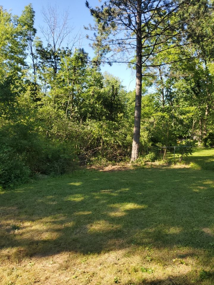 Tree Removal using Tree Removal by Mike Jones & Sons Tree Service LLC 