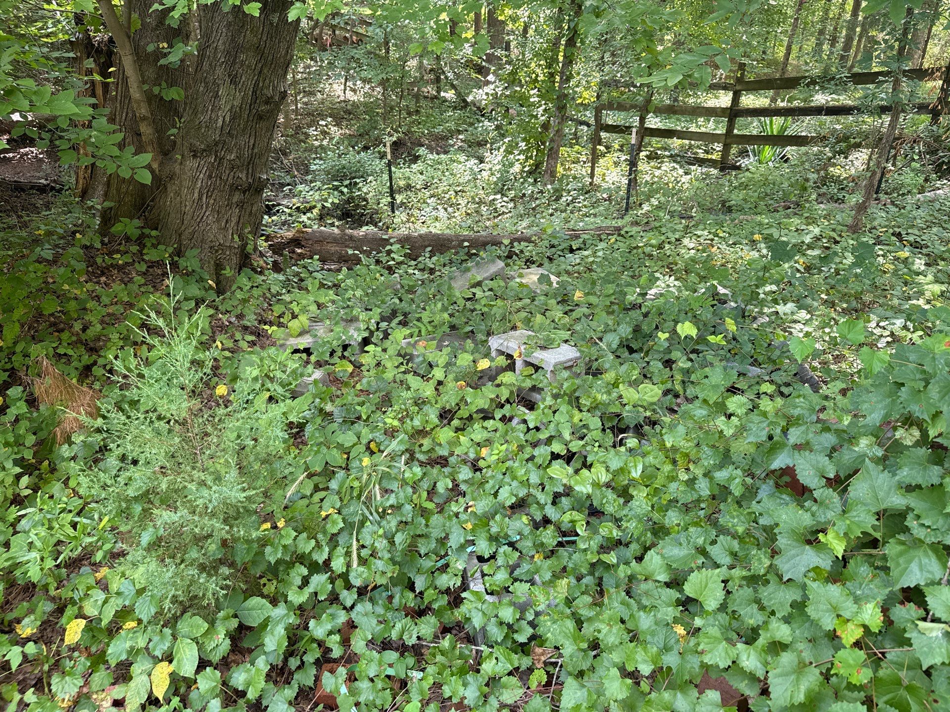Project in Weddington by Badger Hauling