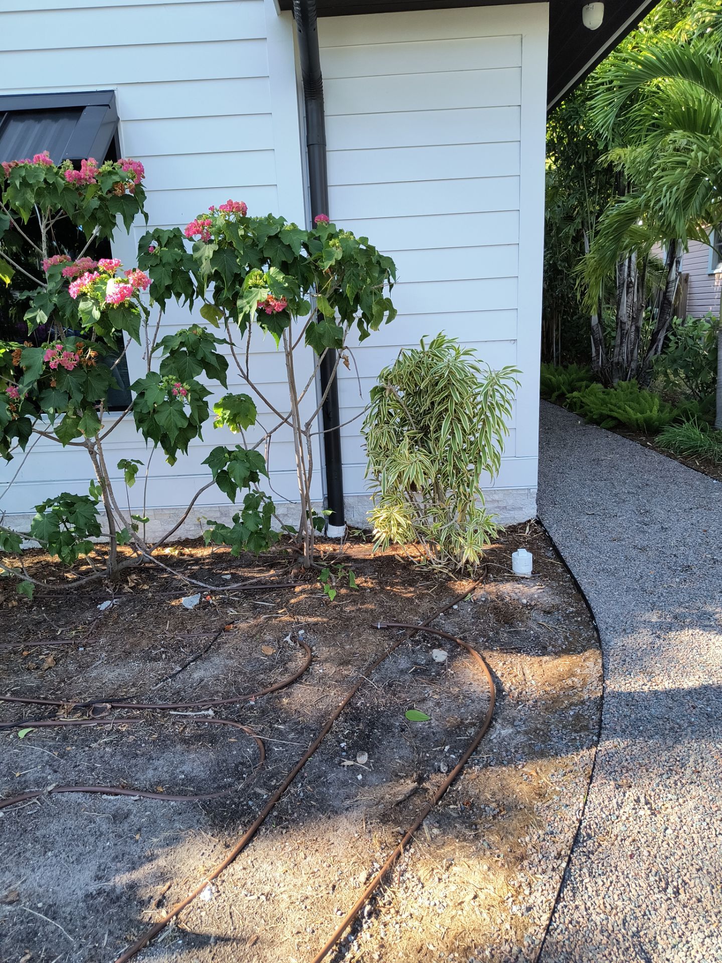 Gutter Cleaning Service in Sarasota FL by Gutter Professors