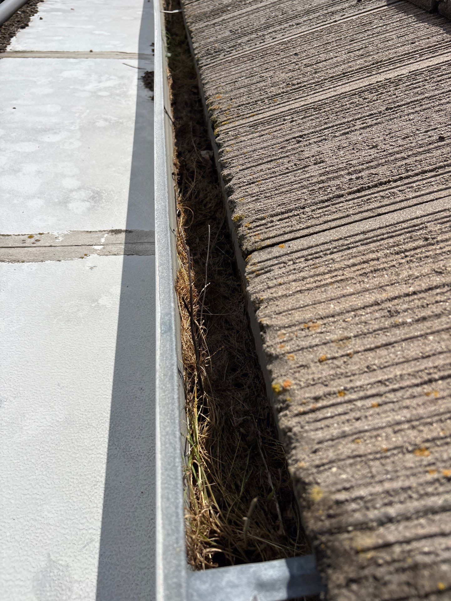 Moss Removal by Top Elevation