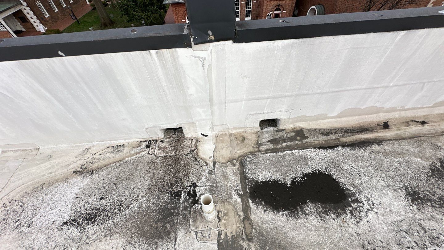 Alexandria: Carlisle Syntec TPO Flat Roof Installation by RM Banning, Inc.