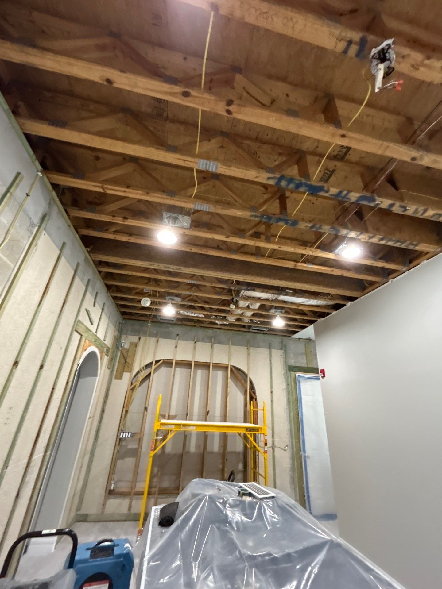 Mold Removal & Remediation In Sarasota by Ampm Restoration Services