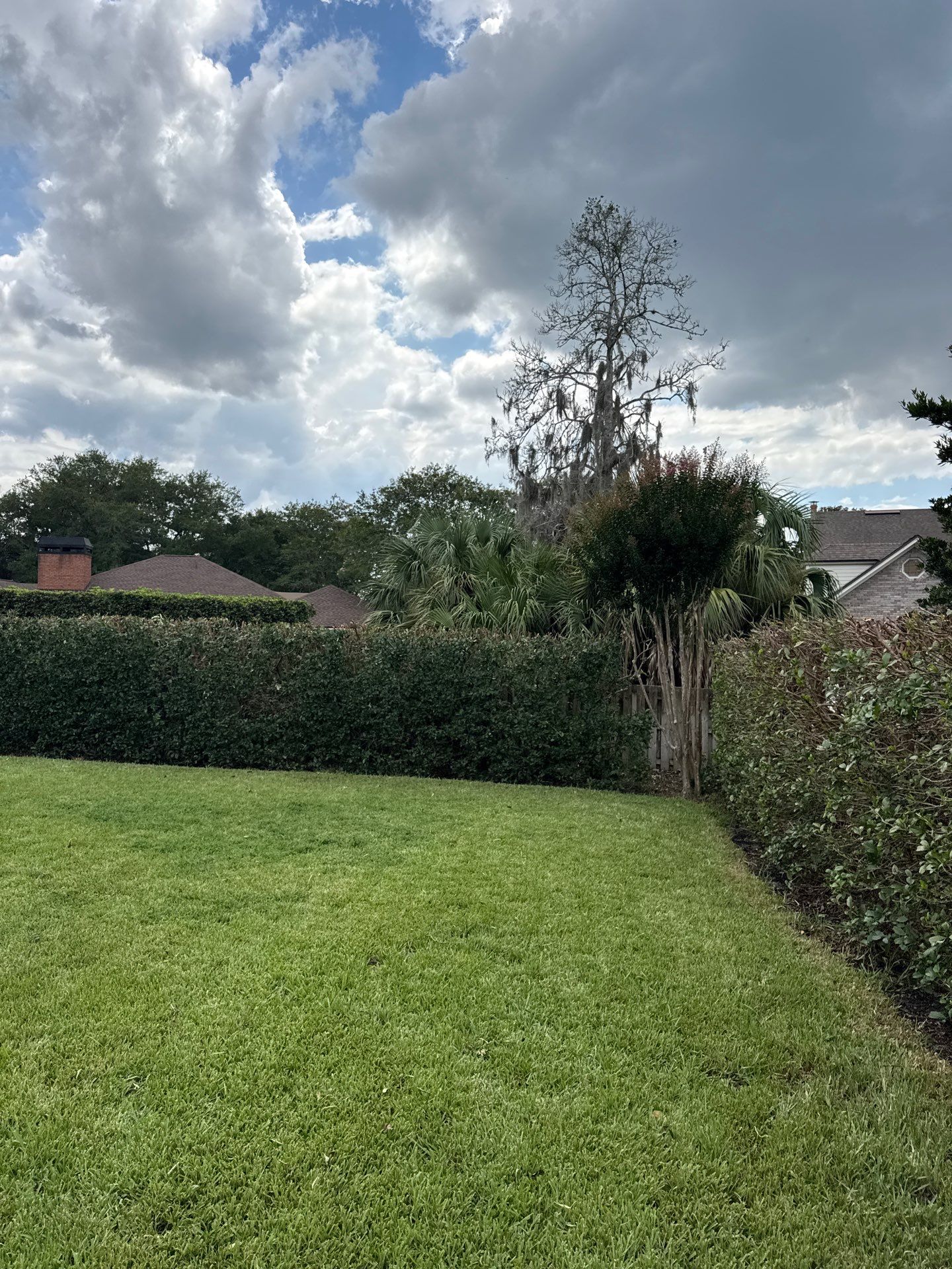 Deerwood Resident | Shrub Trimming by ProGreen Services