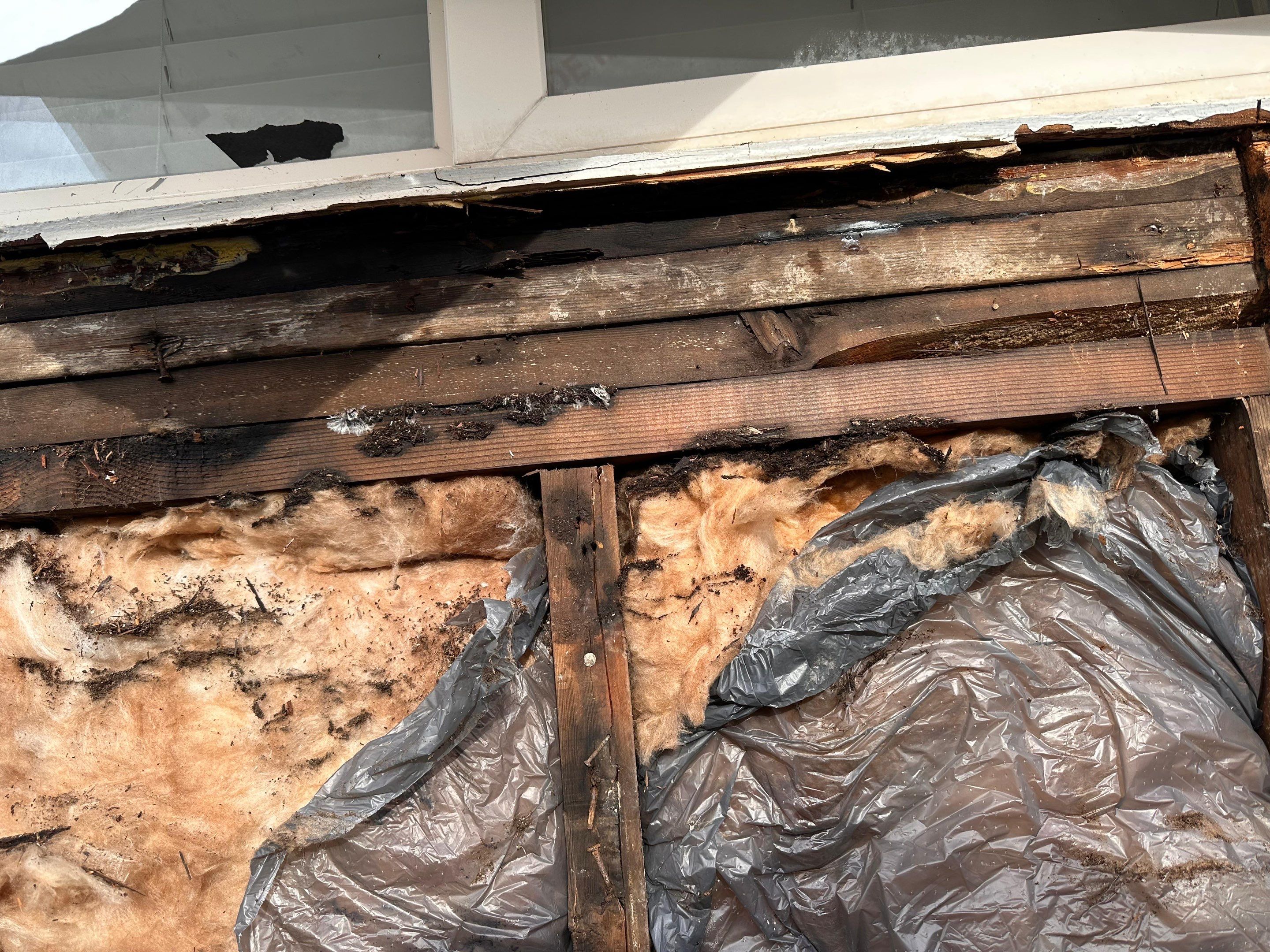 James Hardie Plank Siding Color Plus by Proline Roofing & Restoration LLC