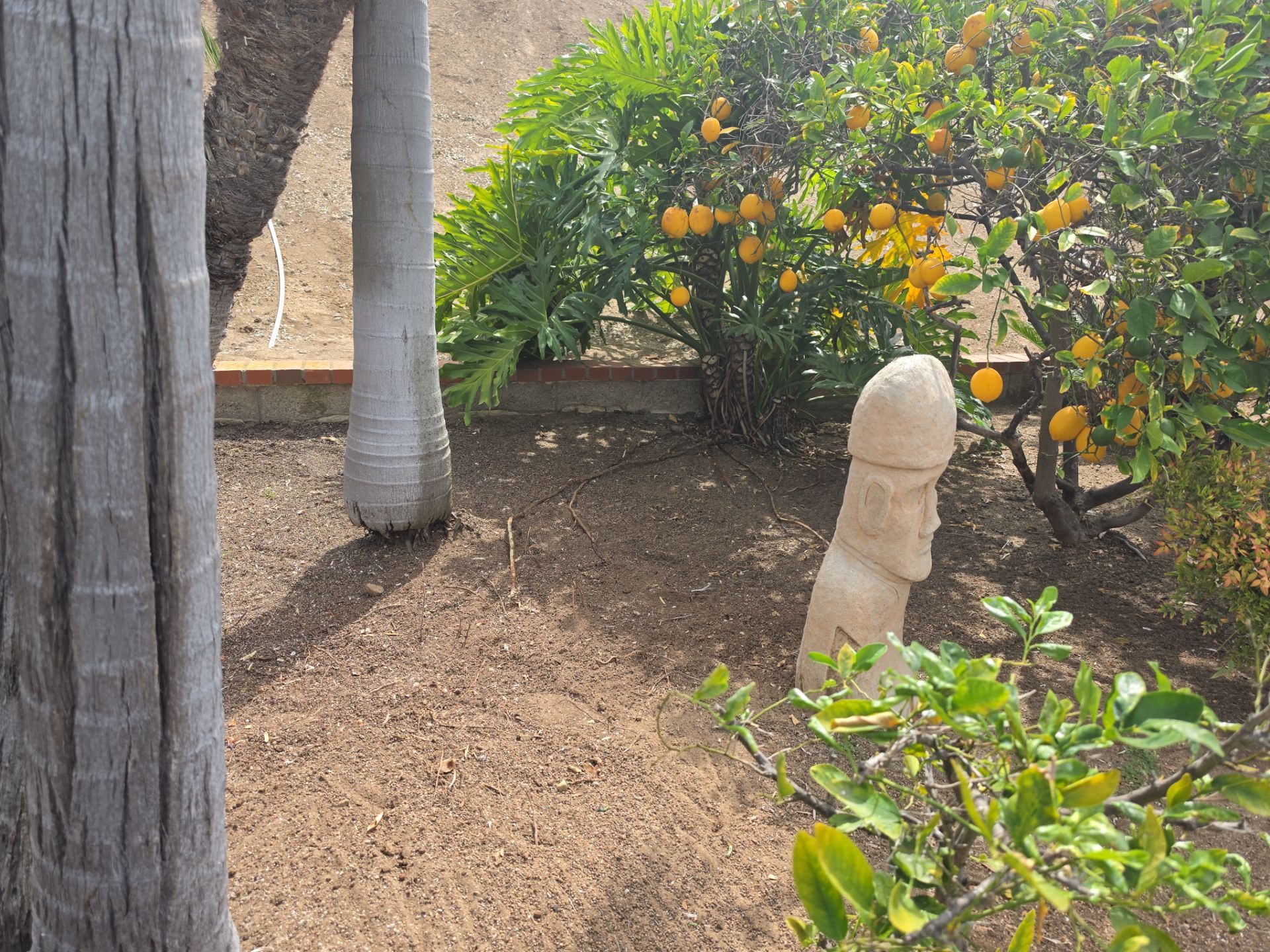 Hand Removal & Site Preparation Project by Yard Techs