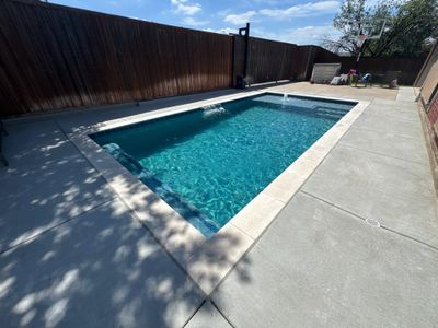 Modern Rectangular Plunge Pool with Turf