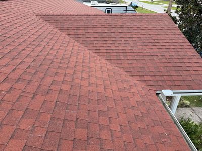 Project in  Zephyrhills