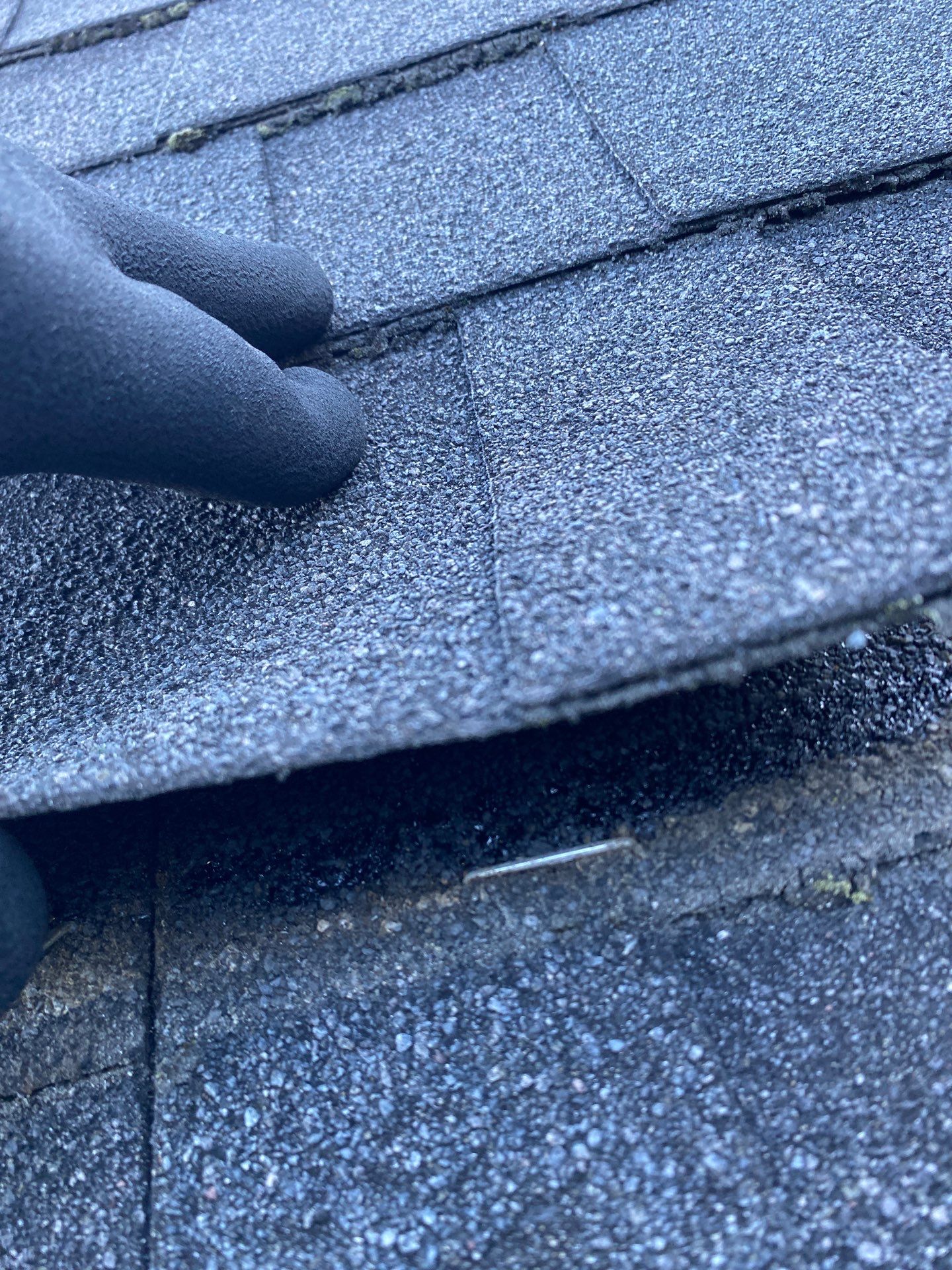 Roofing | Littleton by Mighty Dog Roofing of Greater Middlesex County
