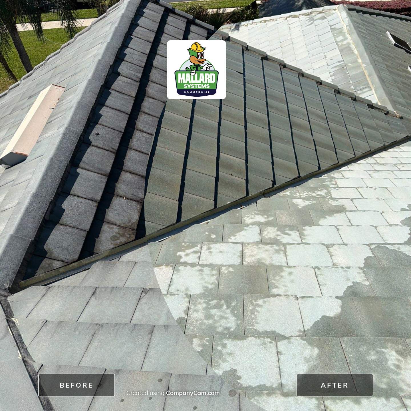 Flat Tile Roof Cleaning by Mallard Systems