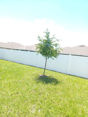 Wimauma, FL 6ft. Tall White Vinyl Privacy Fence  