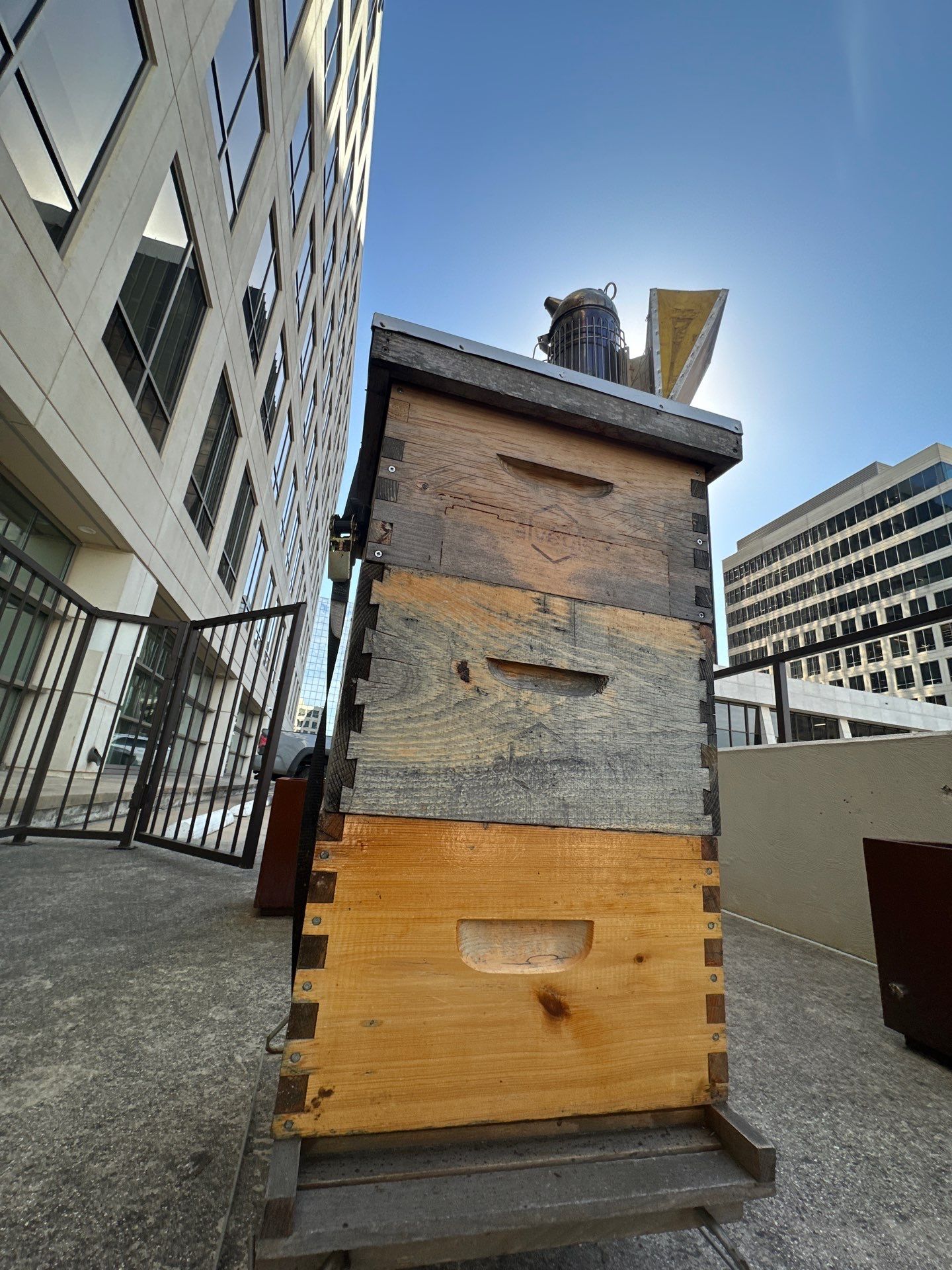Urban bee hive in North Dallas by Rockwall Honey Bee Company