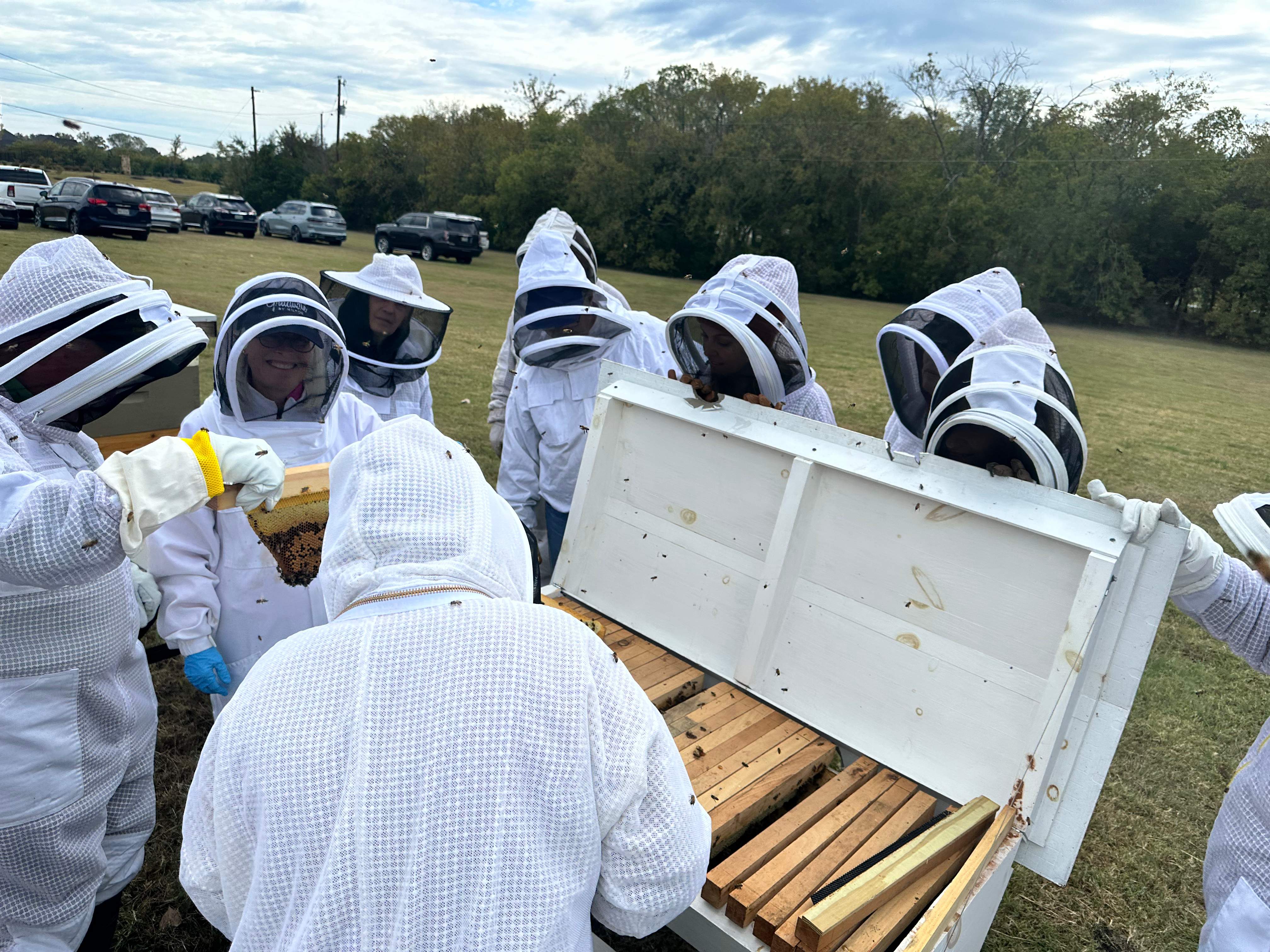 Rockwall Honey Bee Company HQ by Rockwall Honey Bee Company