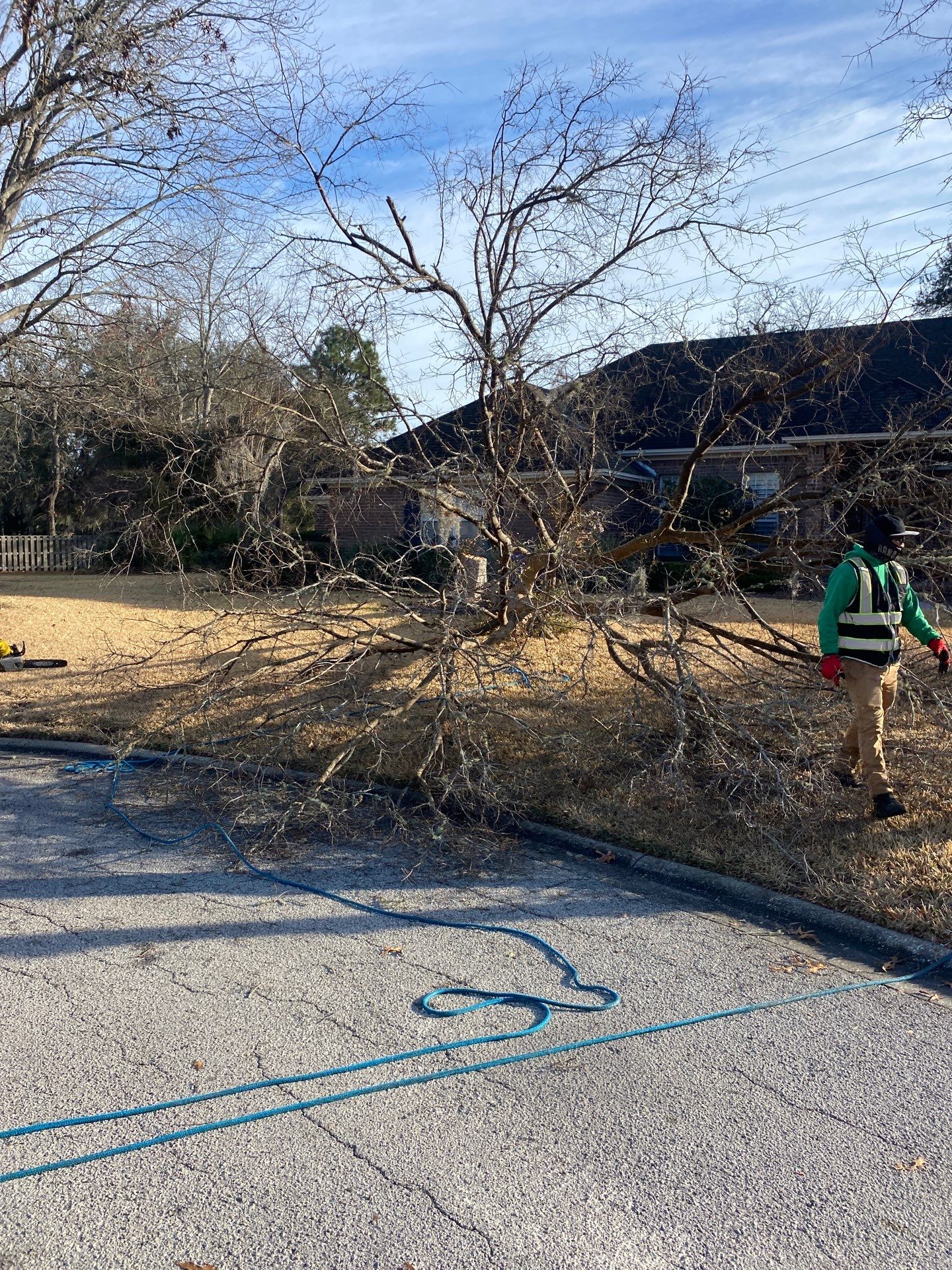 Deerwood Resident | Tree Removal by ProGreen Services