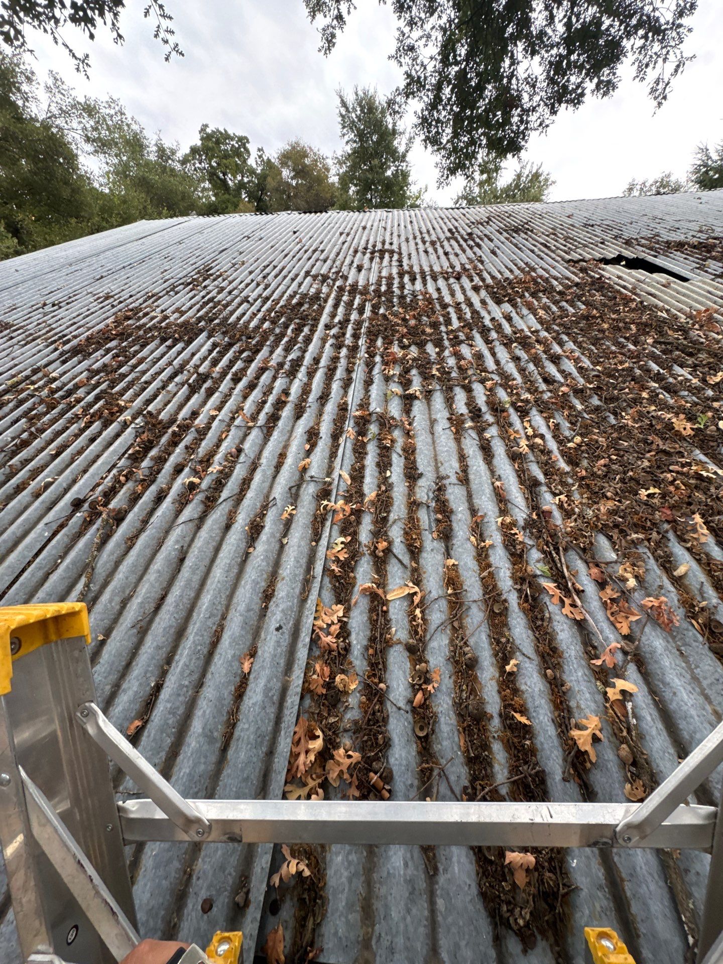 Roof Repair in Loomis by Nextop Roofing