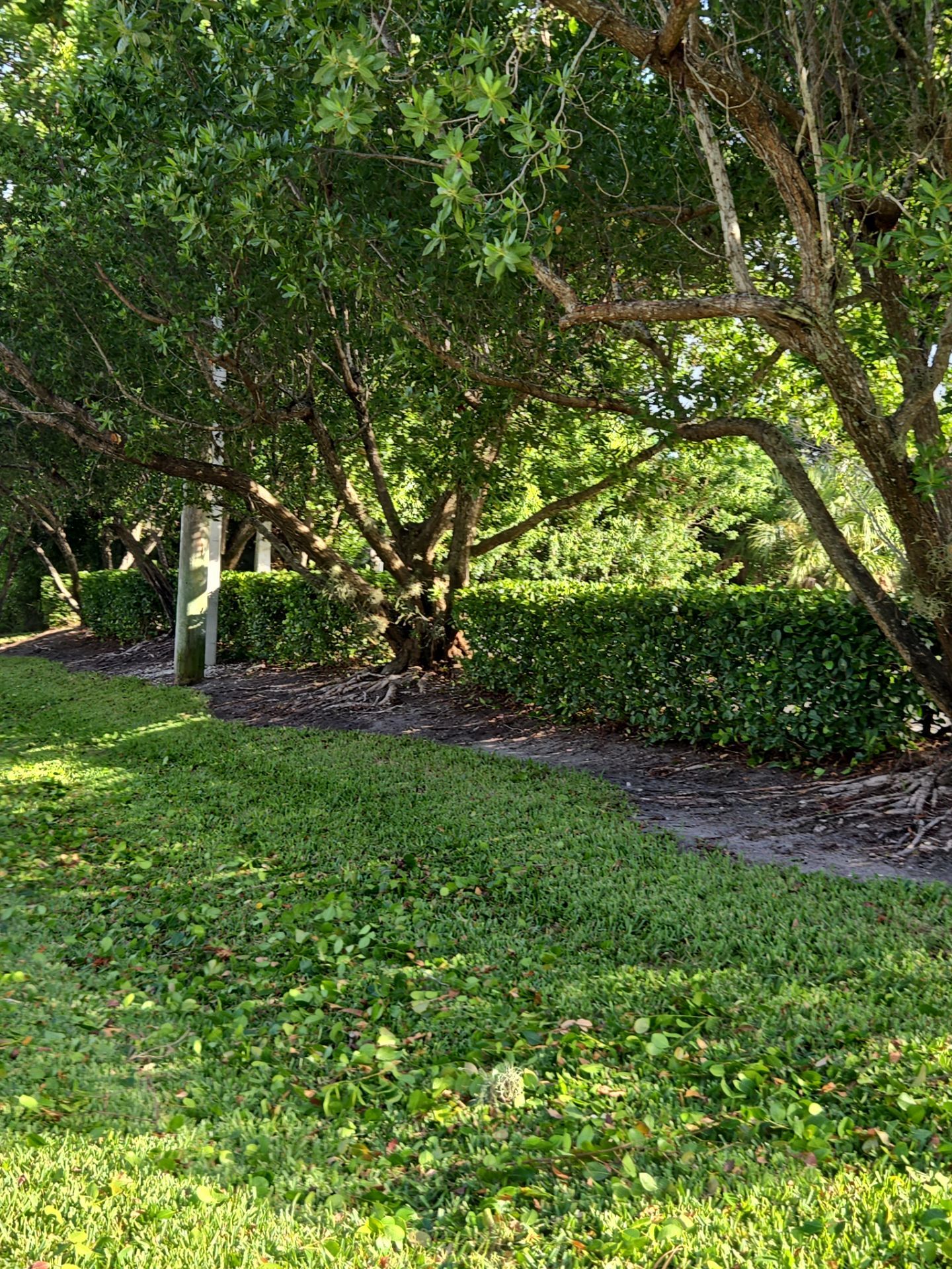 🛏️ City Mattress Refresh — Jensen Beach by Alpha Zeta Enterprises Inc