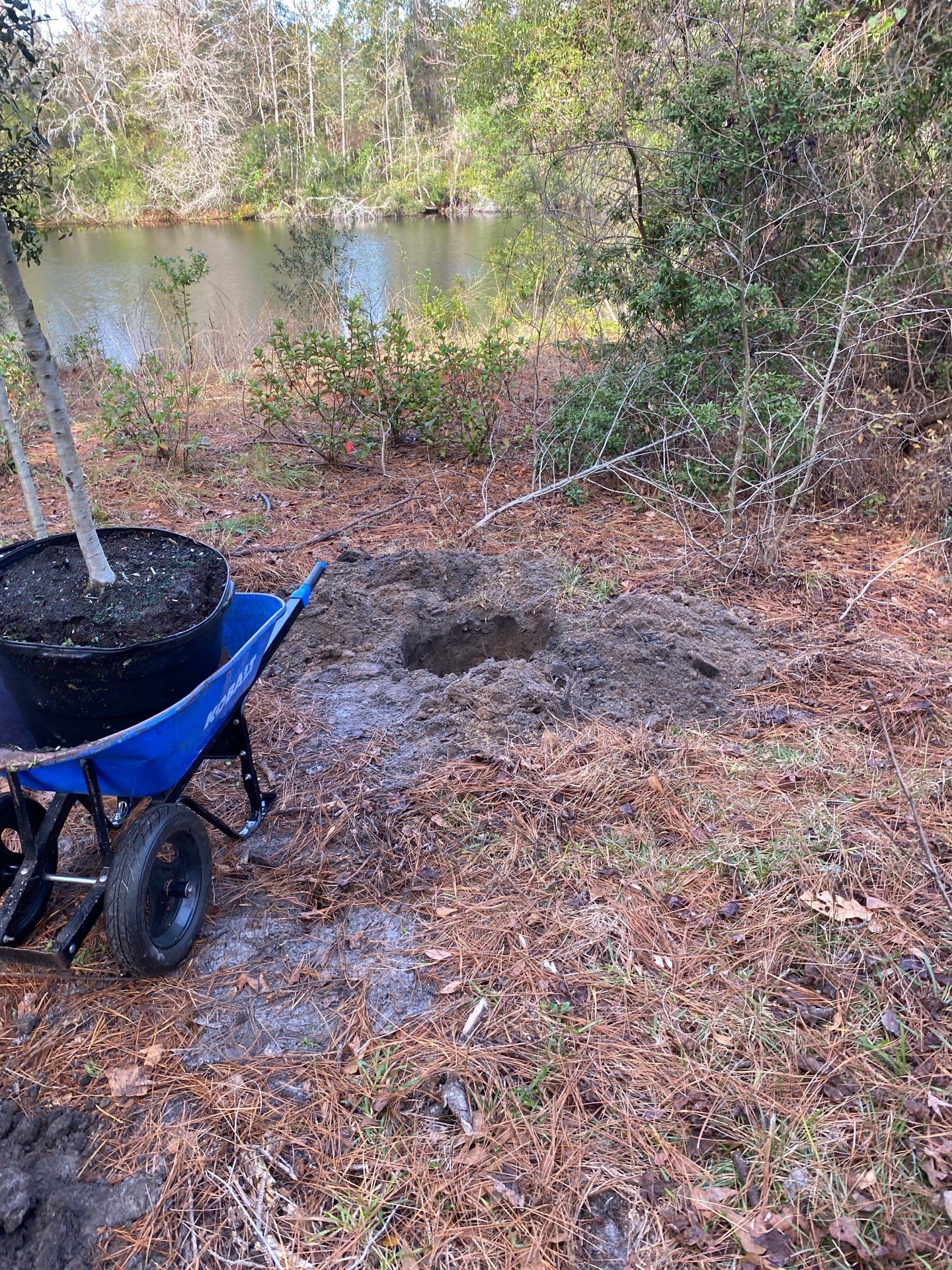 Deerwood Resident | Tree Installation by ProGreen Services