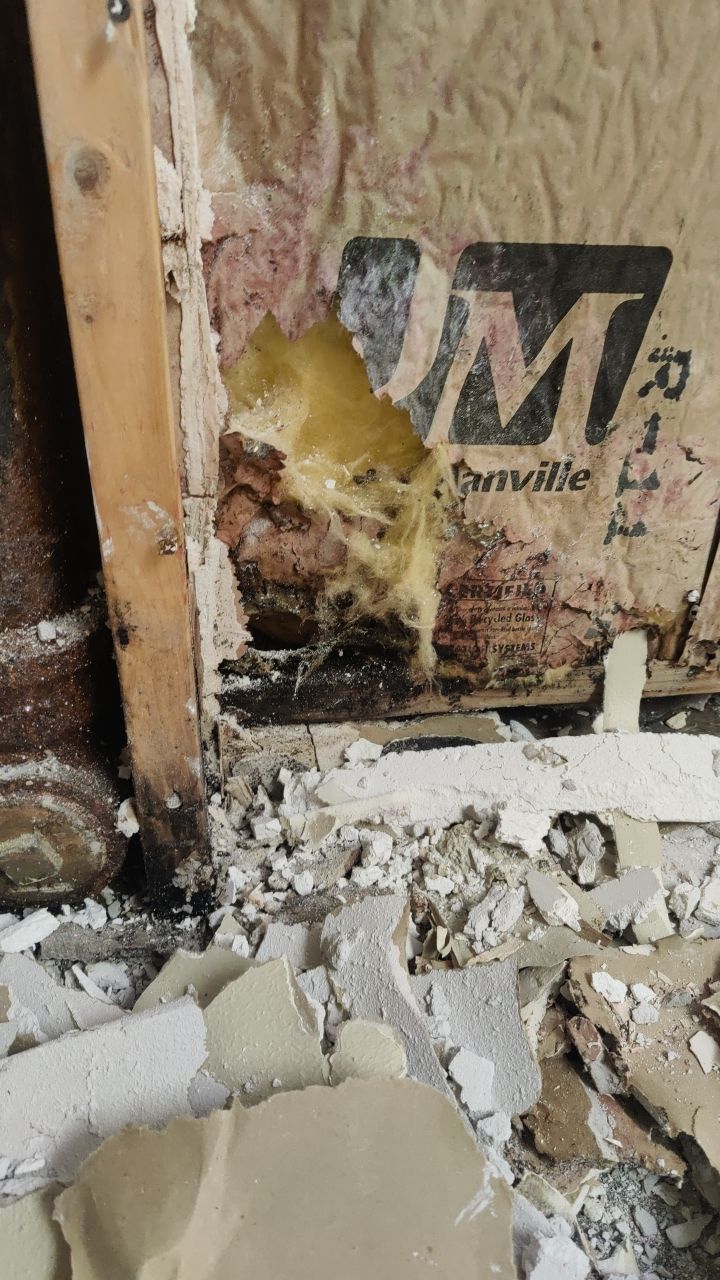 Water Damage  by Accountable Home Services