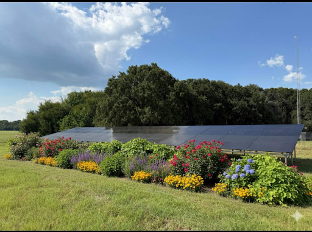 Ground Mount in Rhome. by Trojan Solar