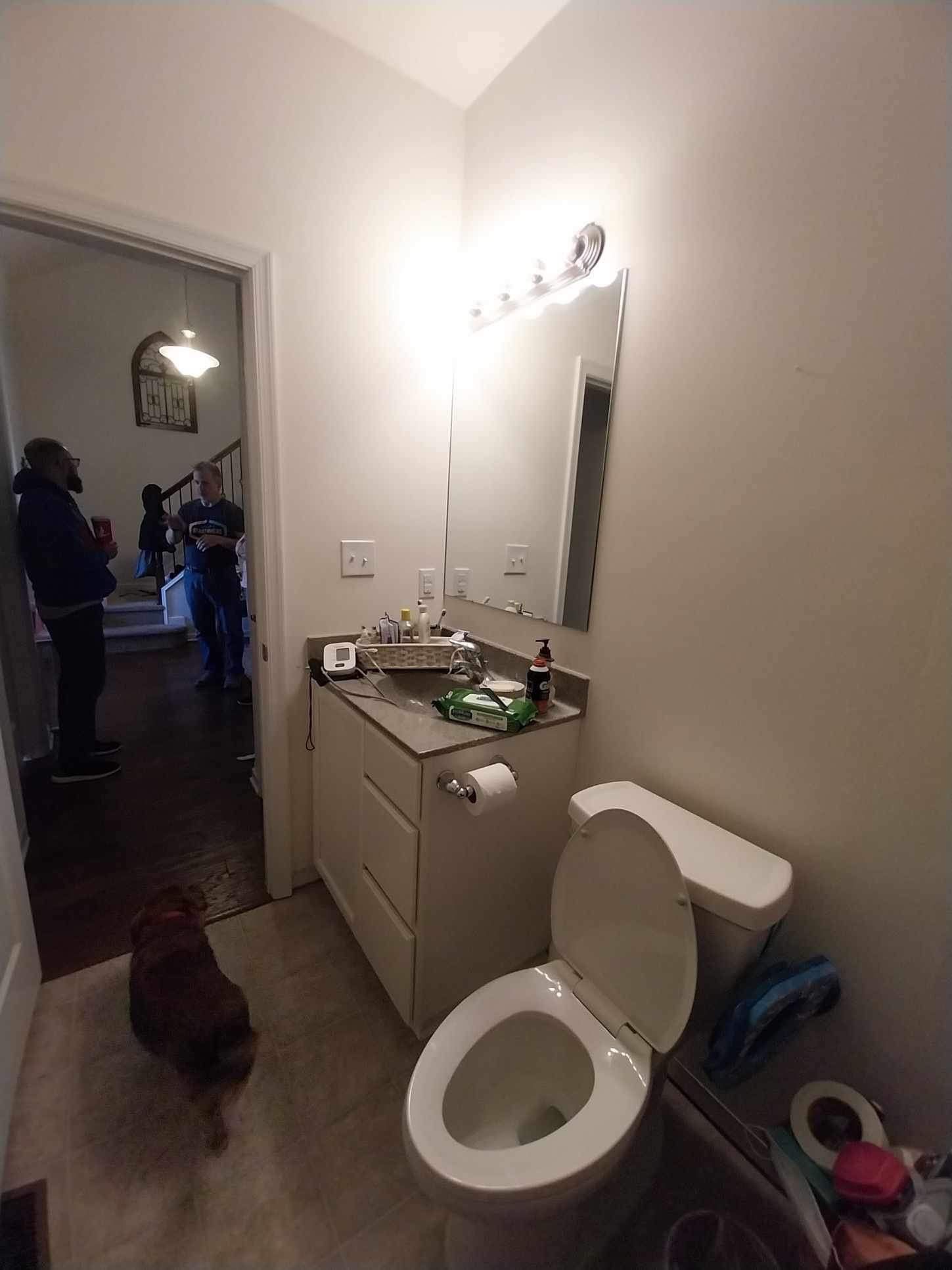 Bathroom Remodel using Sherwin Williams Duration Satin finish by Laser Focused Solutions LLC