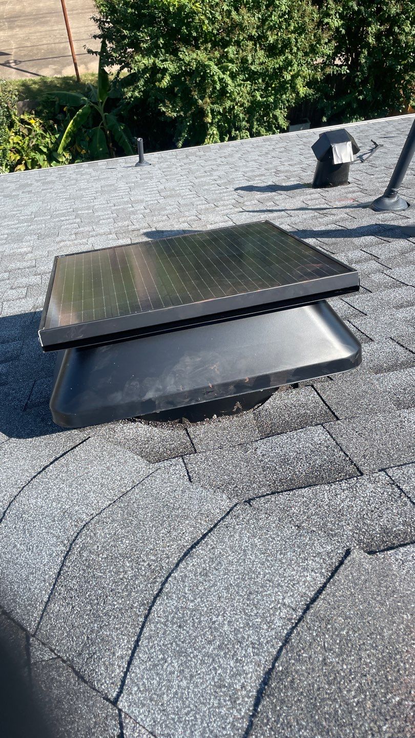 Jules F. by Boss Hogg Roofing