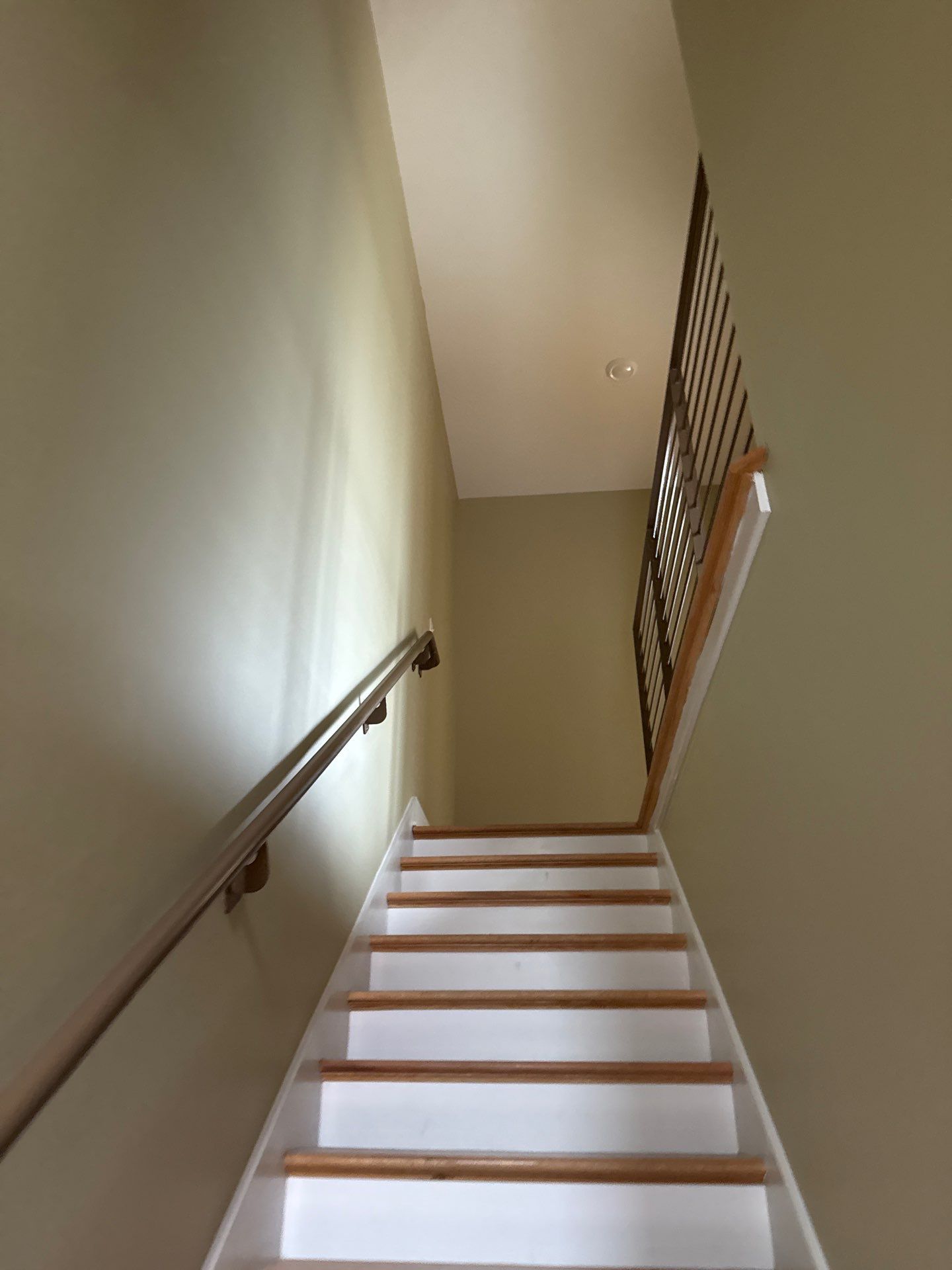 Patrick  bright colors by Magic Painting