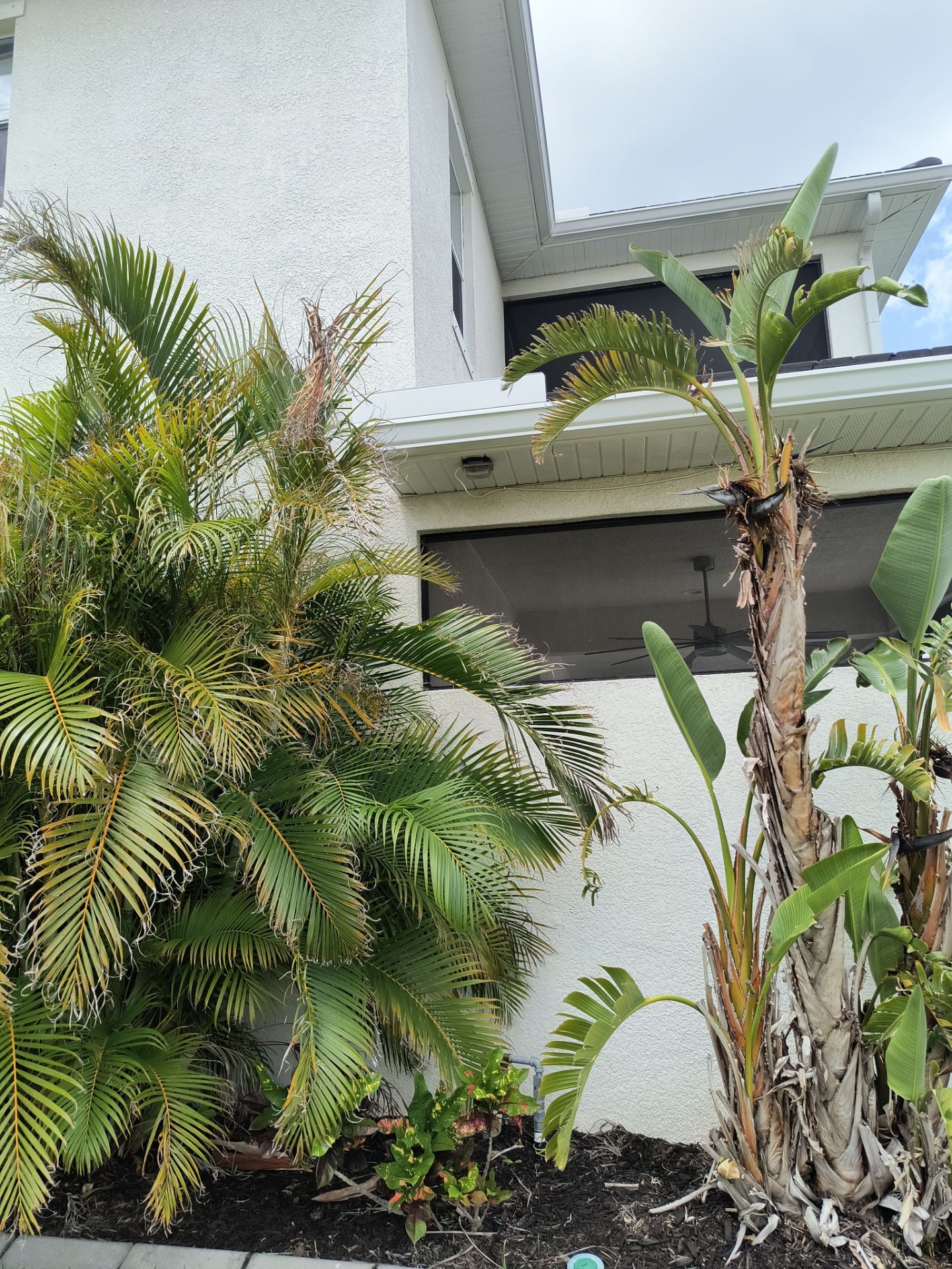 White Seamless Gutters with Downspouts in Bradenton FL by Gutter Professors