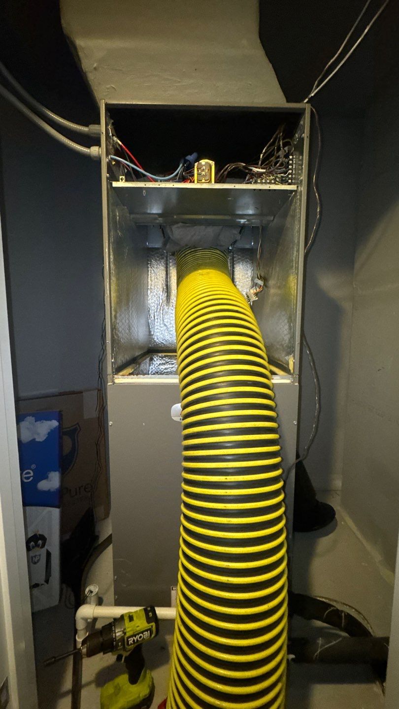 Air Duct and Dryer Vent Cleaning in Orlando by Hygienic Air, Inc
