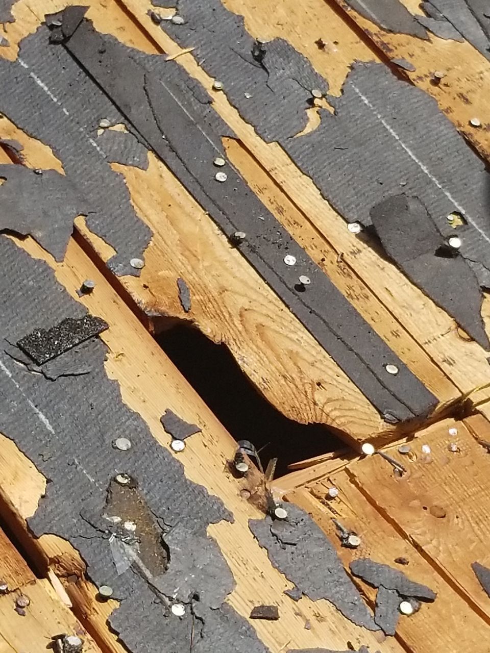 Residential Roofing Installation using GAF Royal Sovereign by A & H Roofing and Contracting