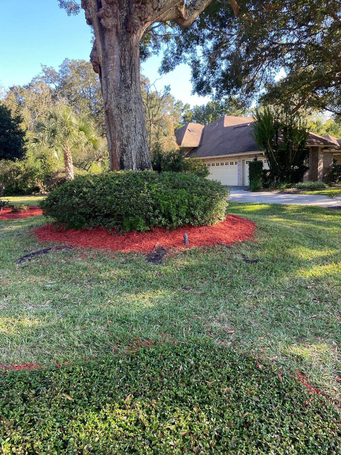 Deerwood Resident | Mulch Freshen Up by ProGreen Services