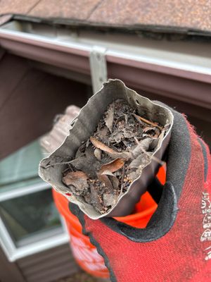 Turtle Shell gutter protection installation in Naperville, IL 60563, photograph 19