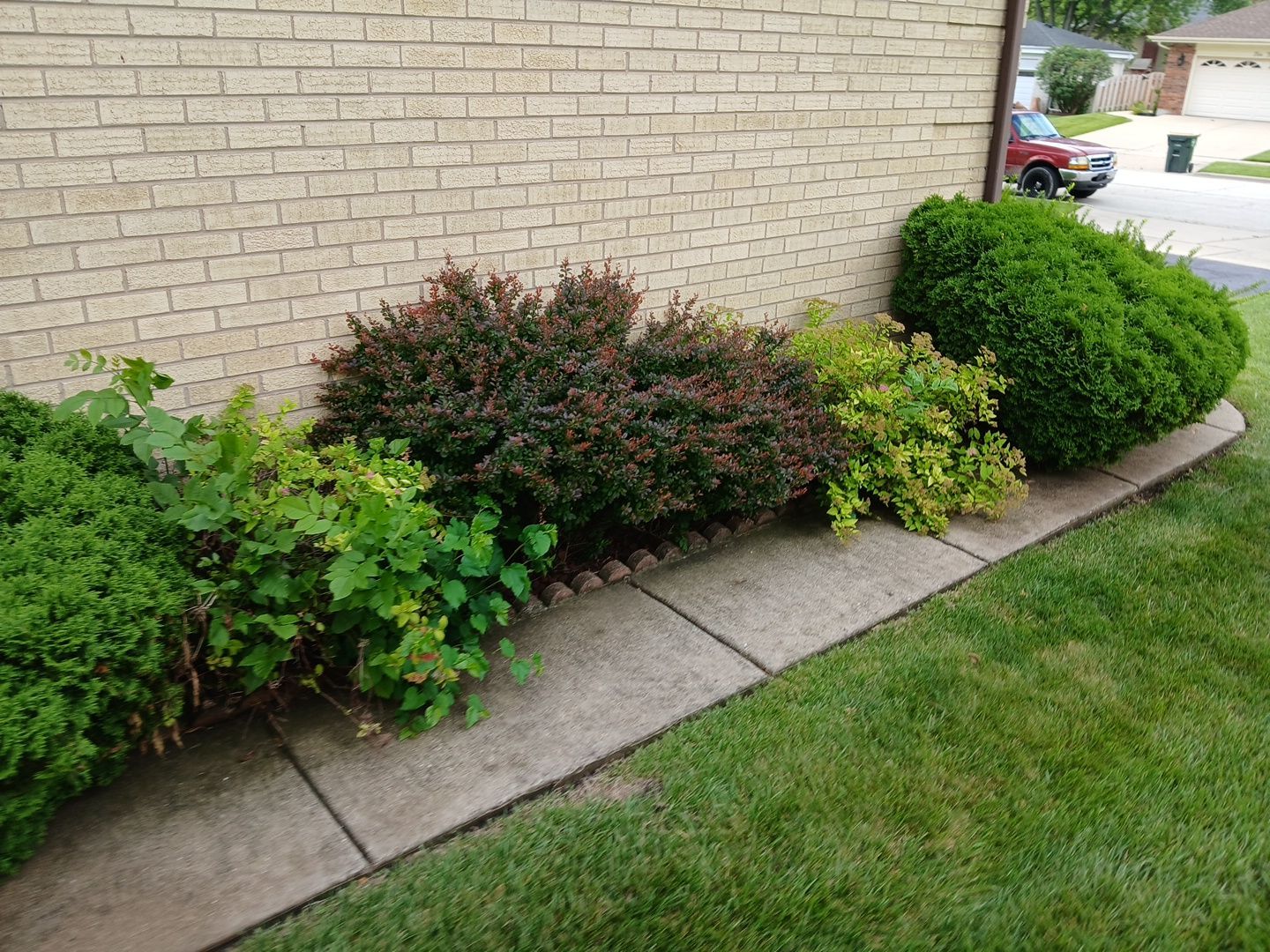 Andrew L. - Arlington Heights, IL by A&N