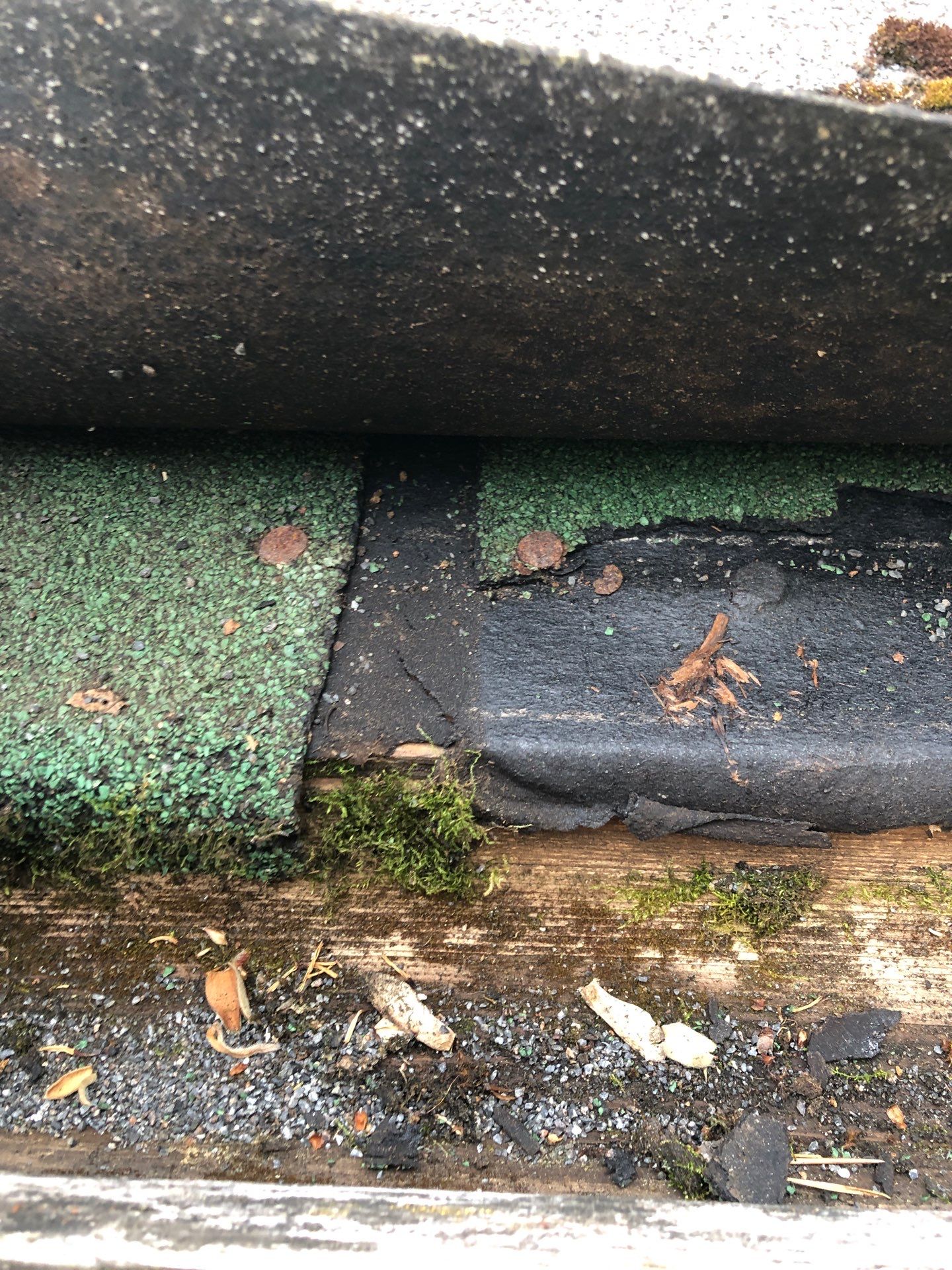 Project in Seattle by Connolly Construction Company