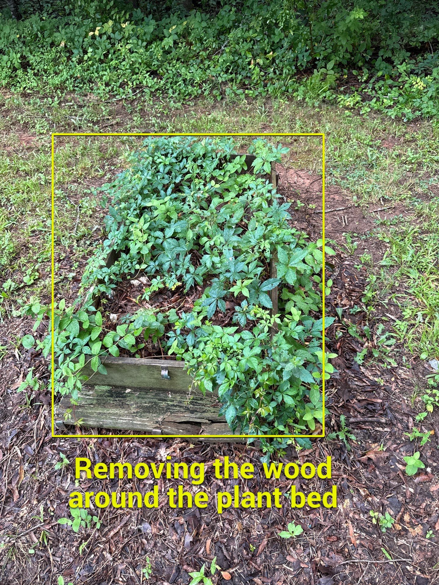 Project in Indian Trail by Badger Hauling