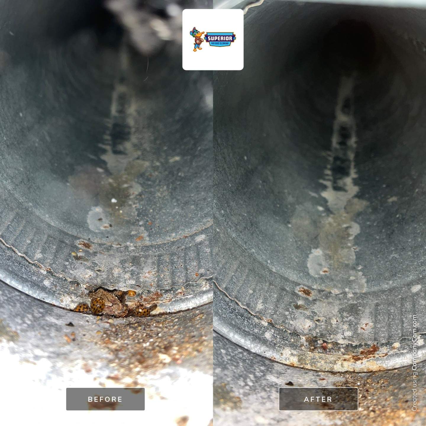 Air Duct Cleaning With a Vacuum Truck in Washington, PA by Superior Air Duct Cleaning