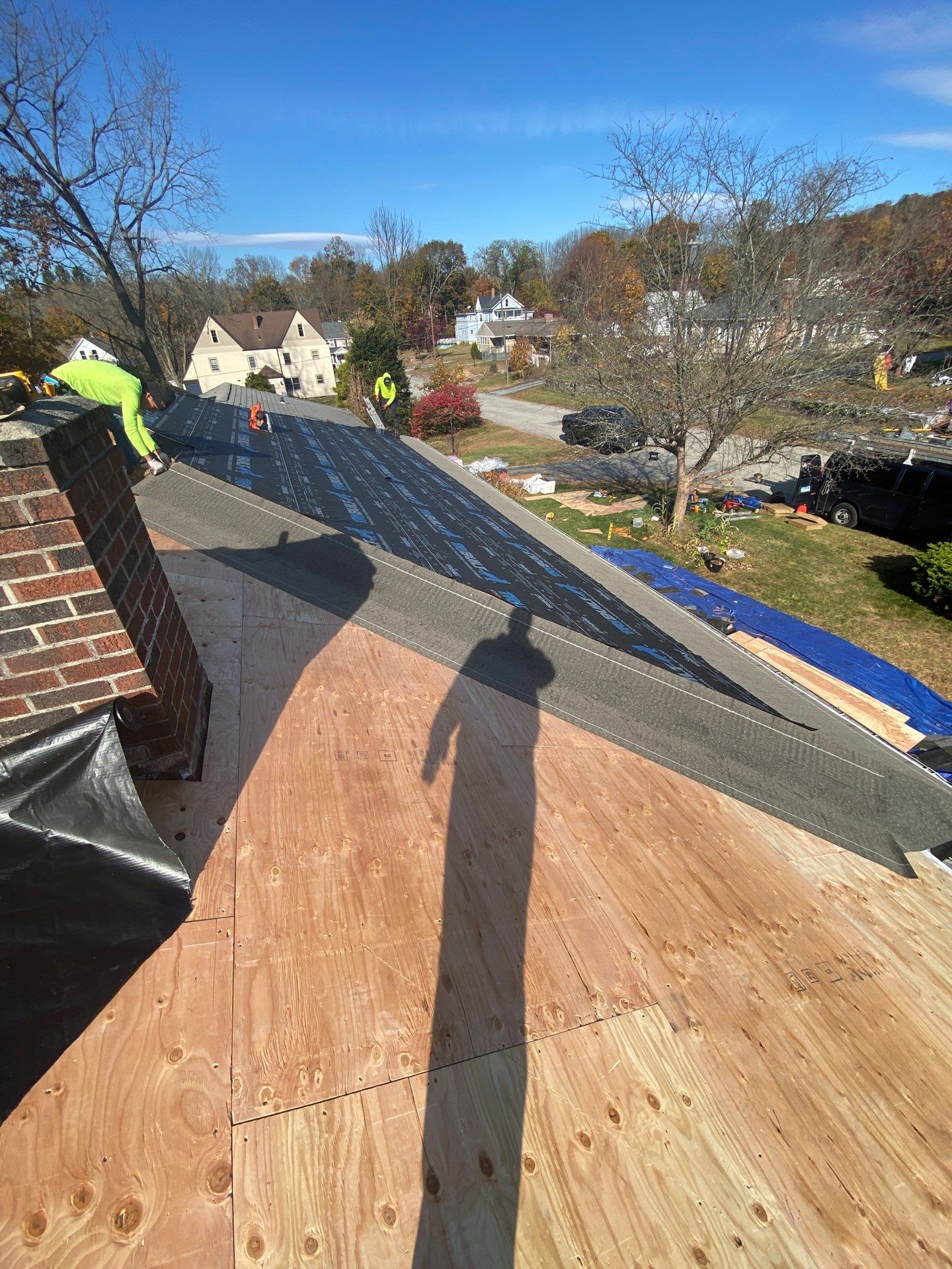 Silver Birch Shingles by Reimagine Roofing